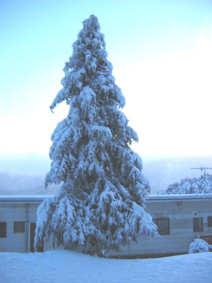 Karelia Alpine Lodge