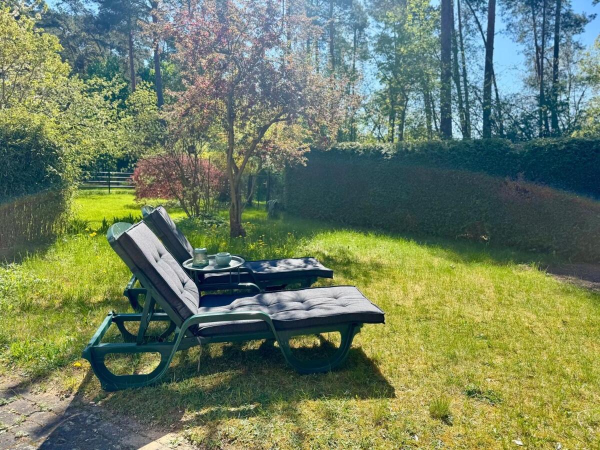 FamilienNest XXL - direkt am See