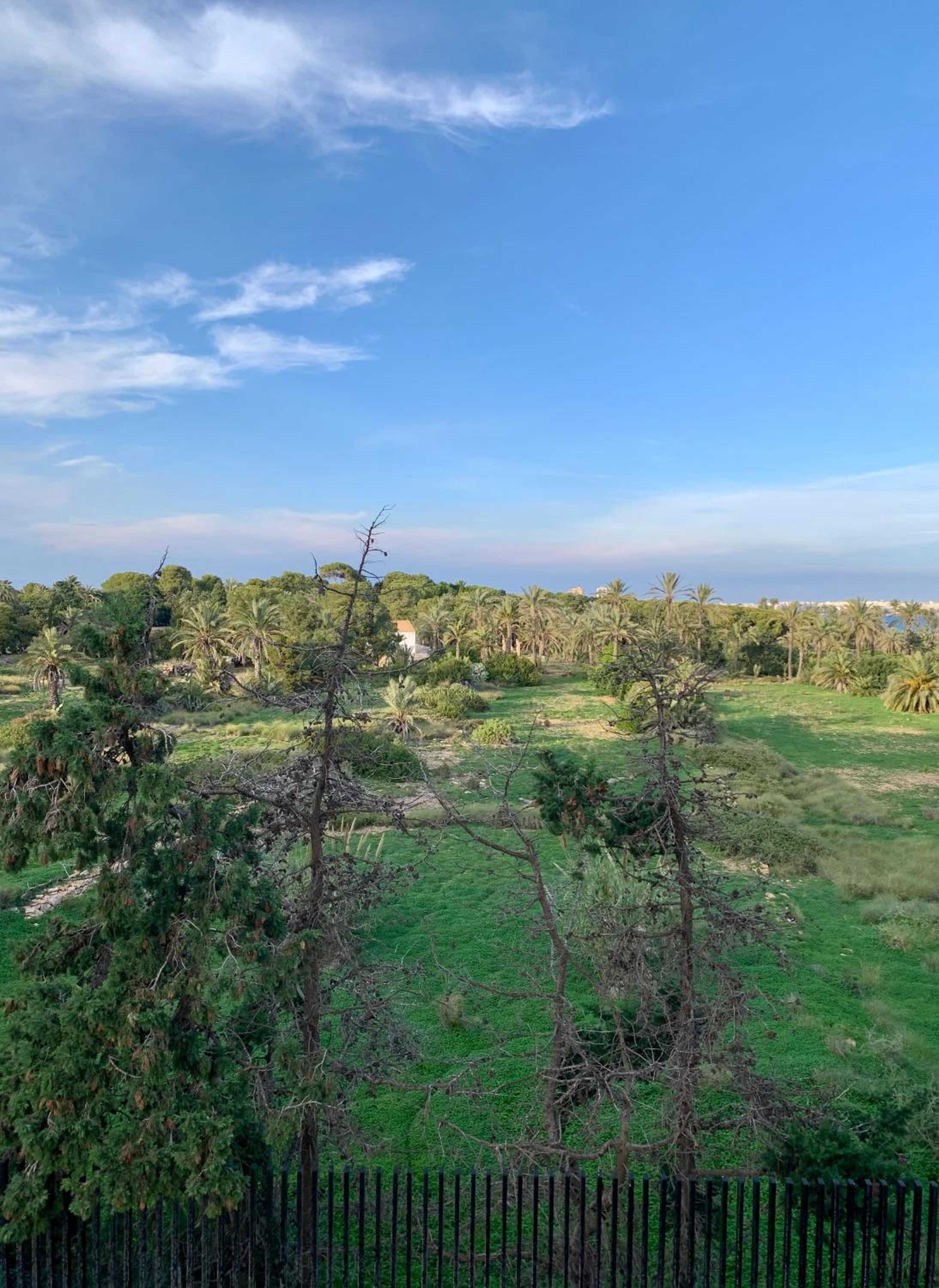 Peaceful Apartment with Sea & Nature Views, Terrace, Pool and Garage