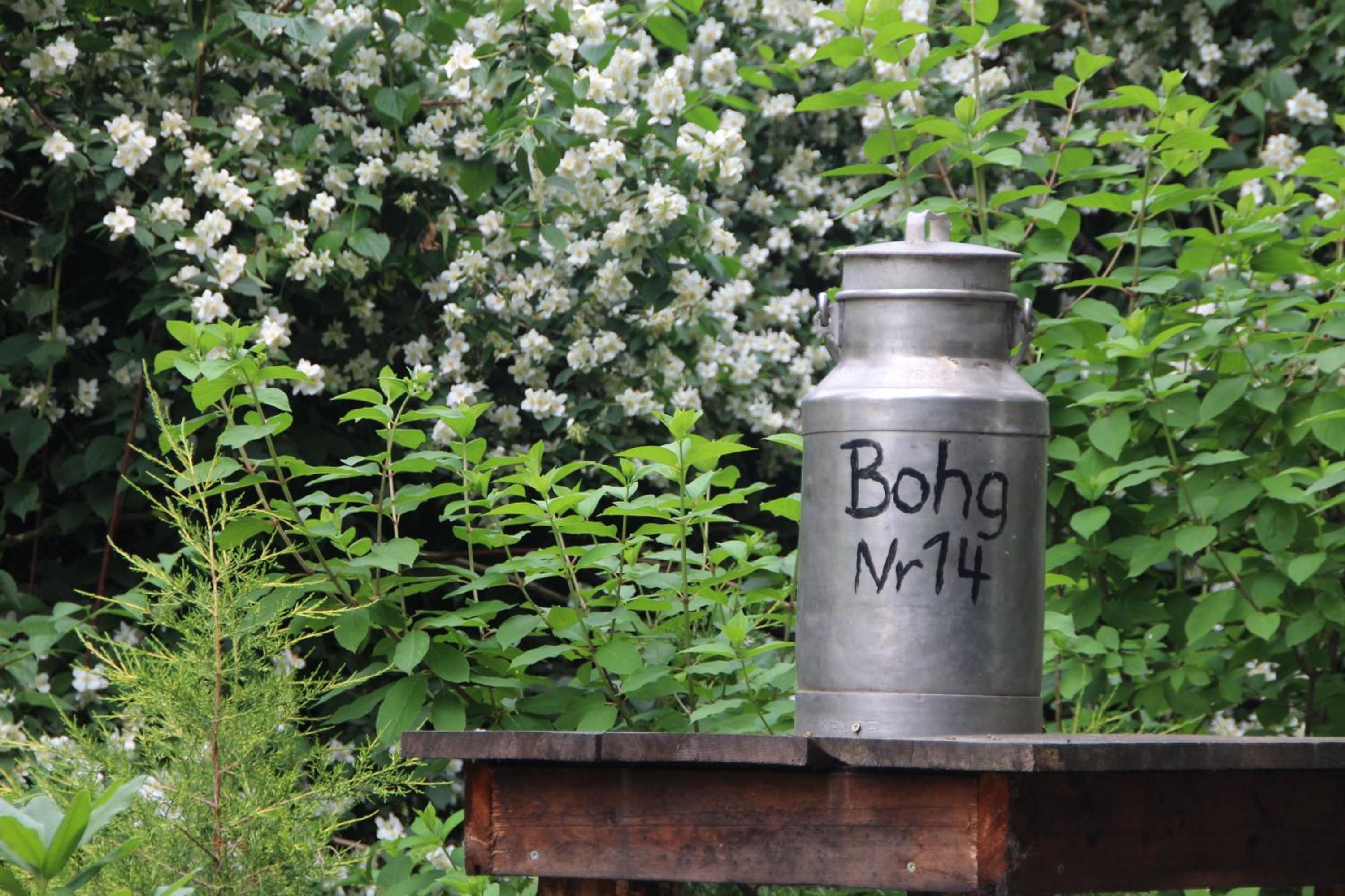 Ferienhof Bohg