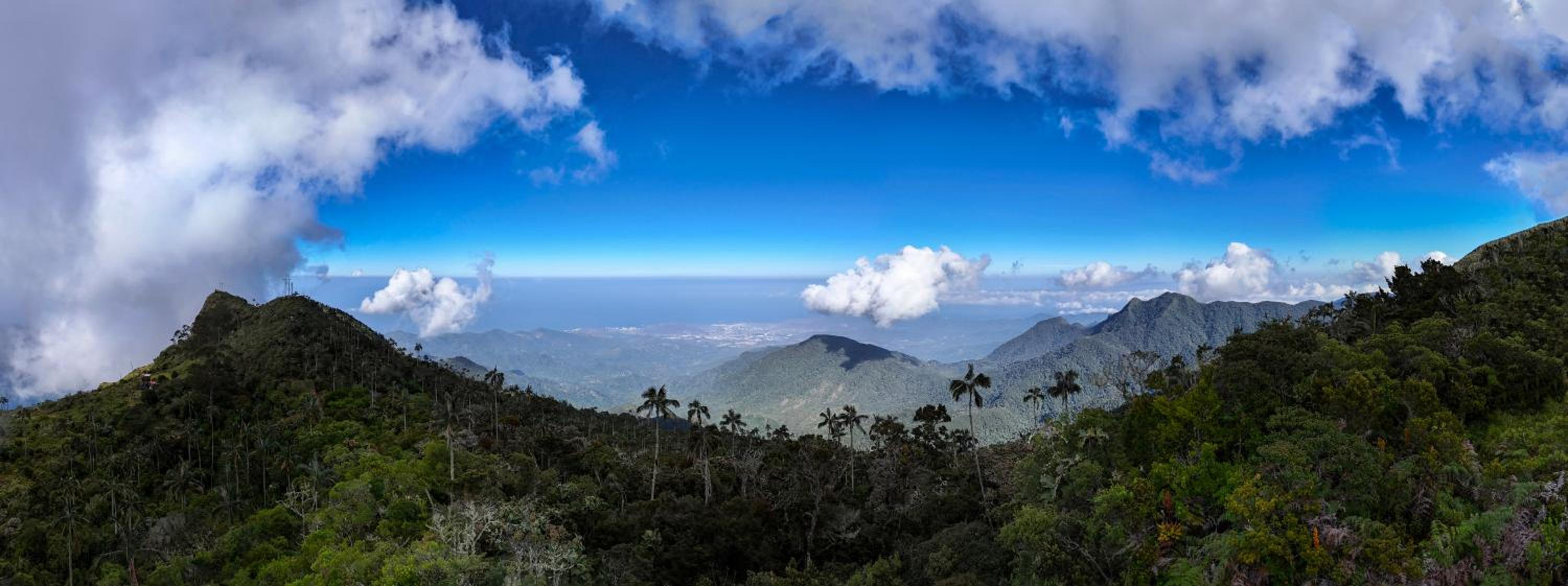 Minca El Dorado Reserve