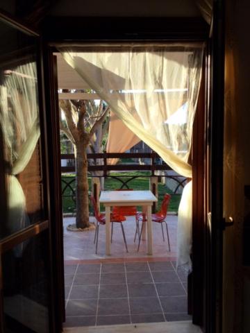 Photo 46