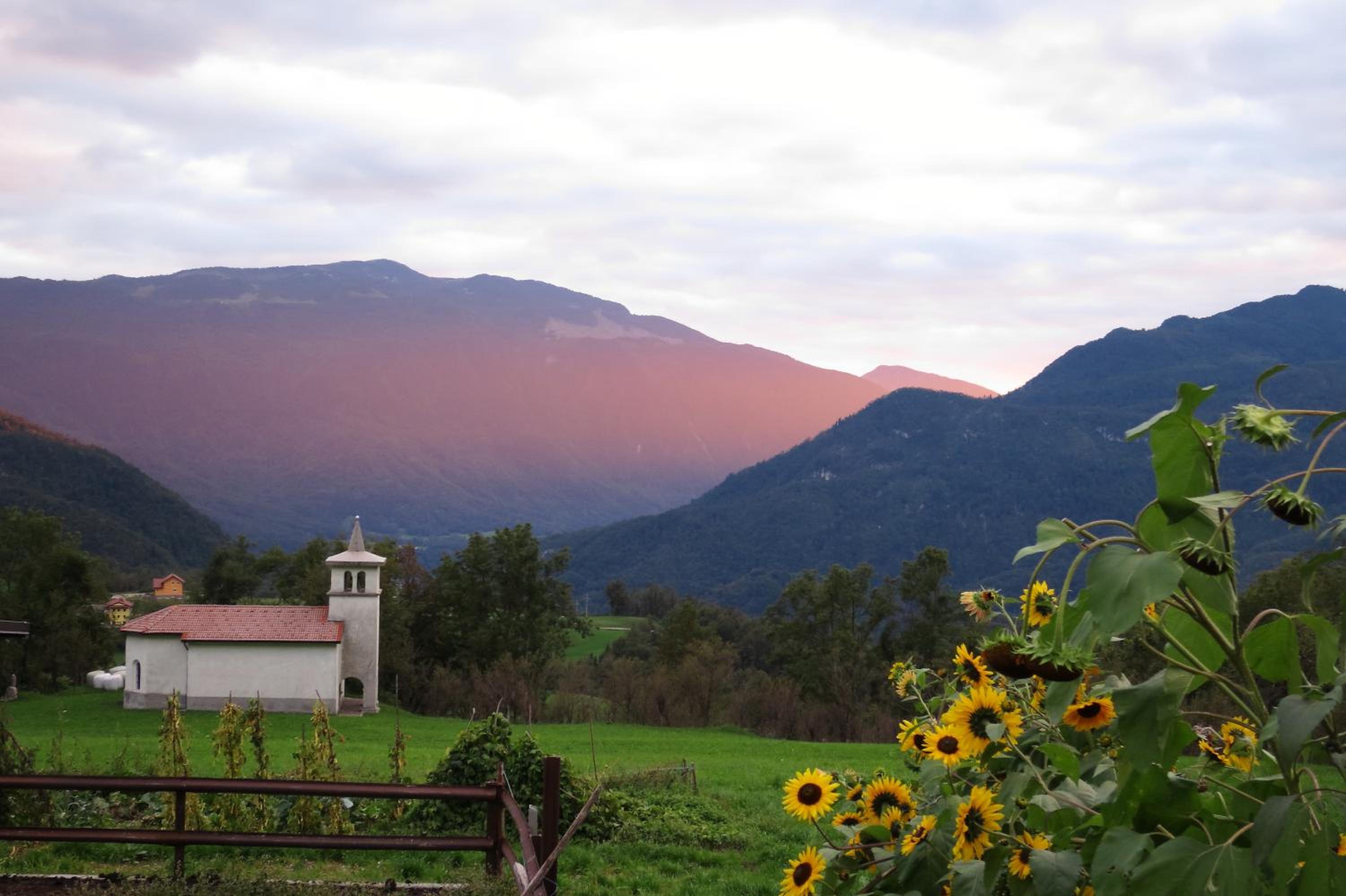 Tourist Farm Žvanč view 2