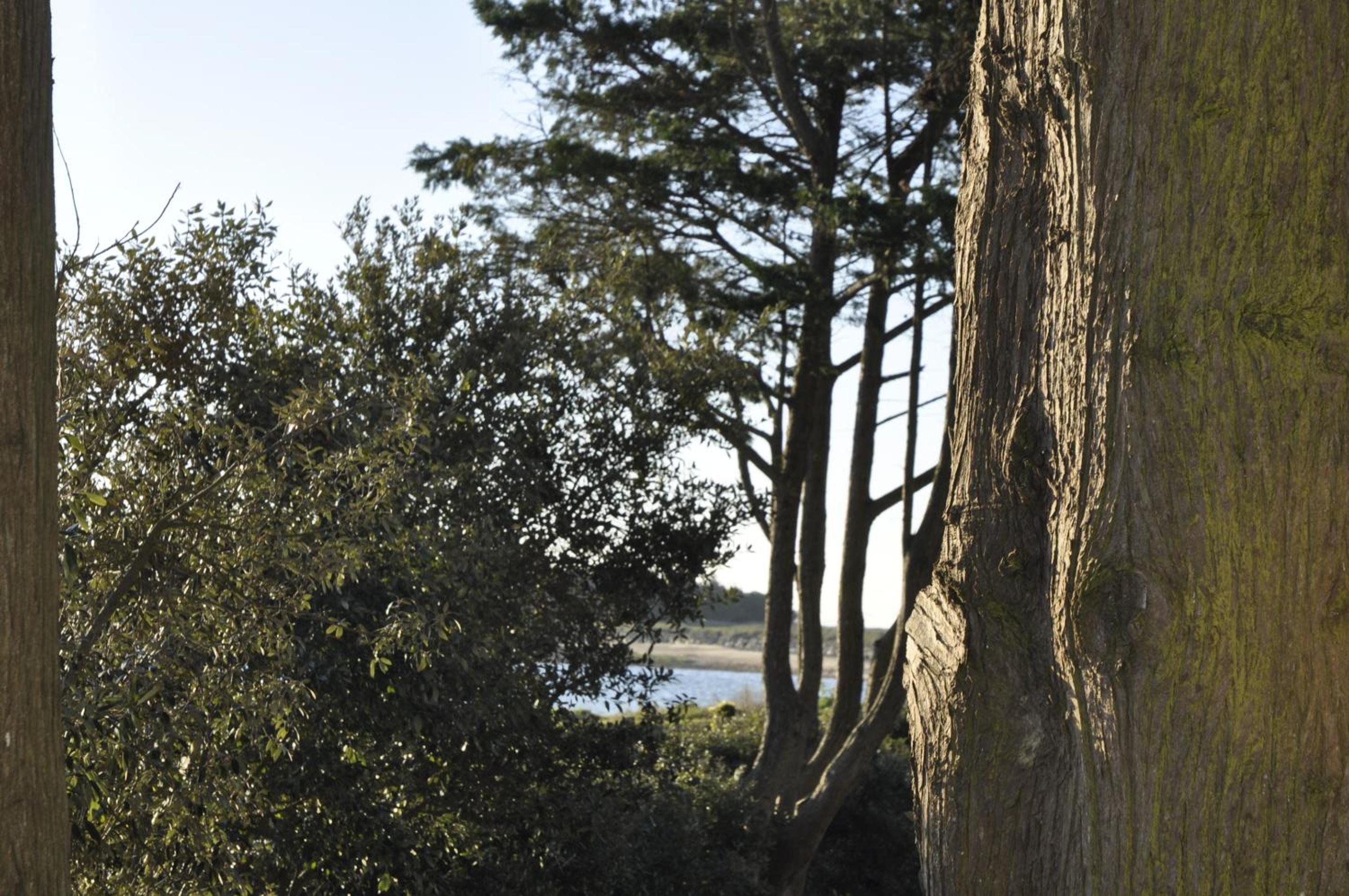 Sibcovacances56, photo 18