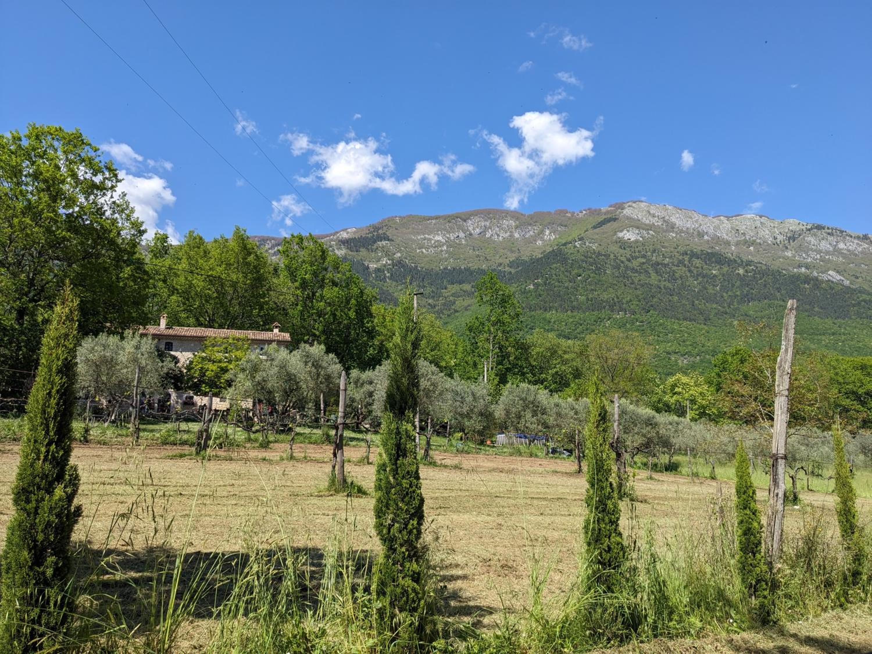 B&B Casal Cominium