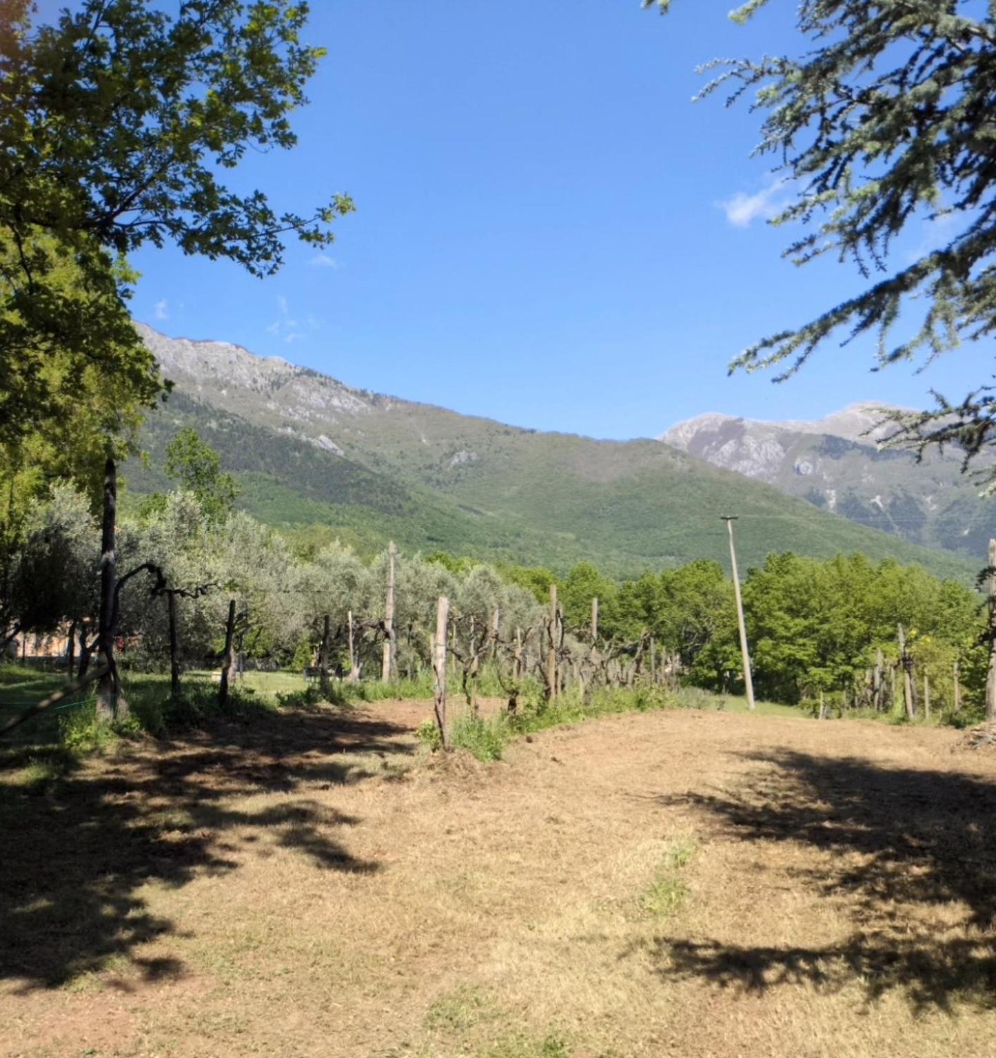 B&B Casal Cominium