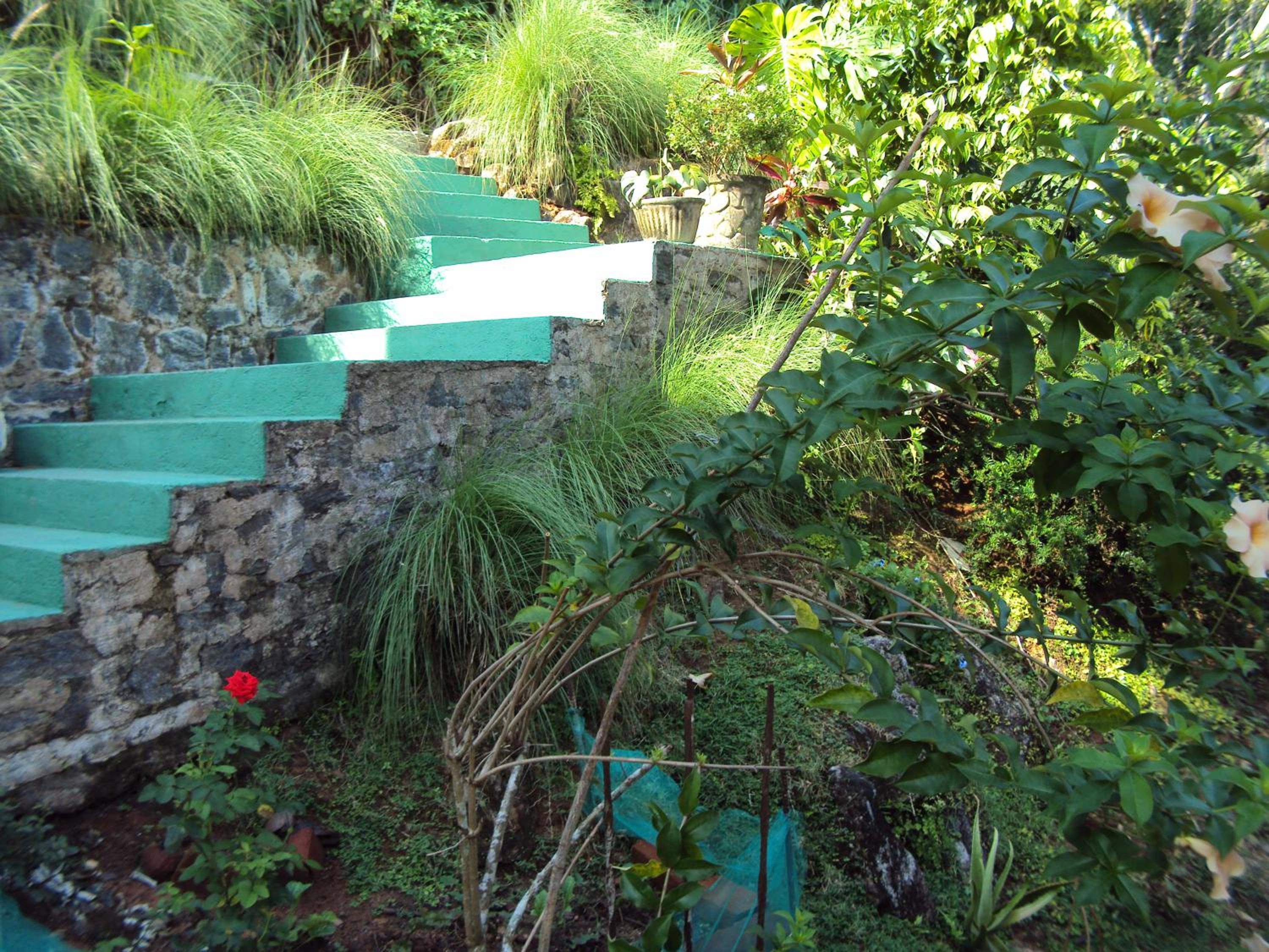 Photo 34