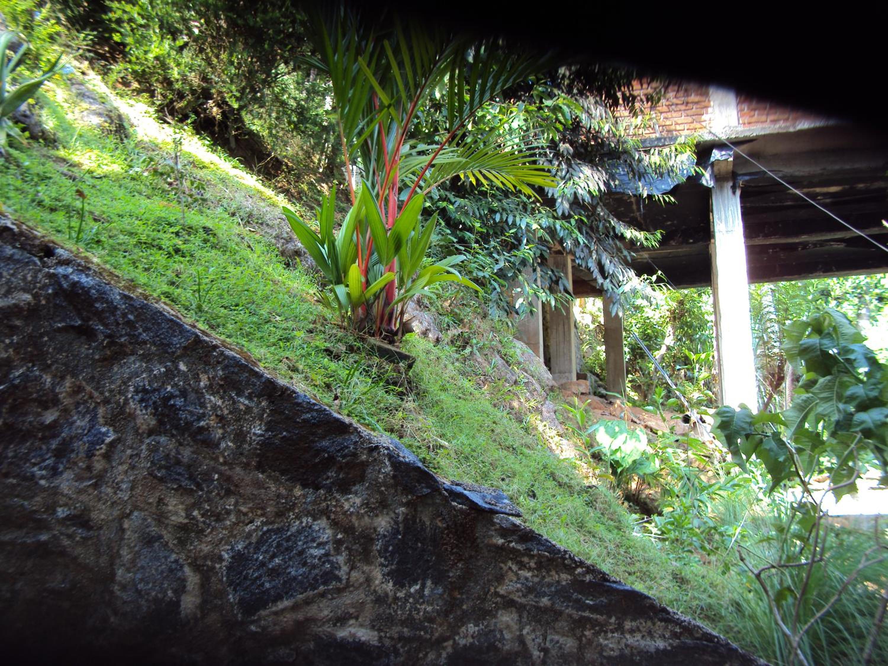 Photo 49