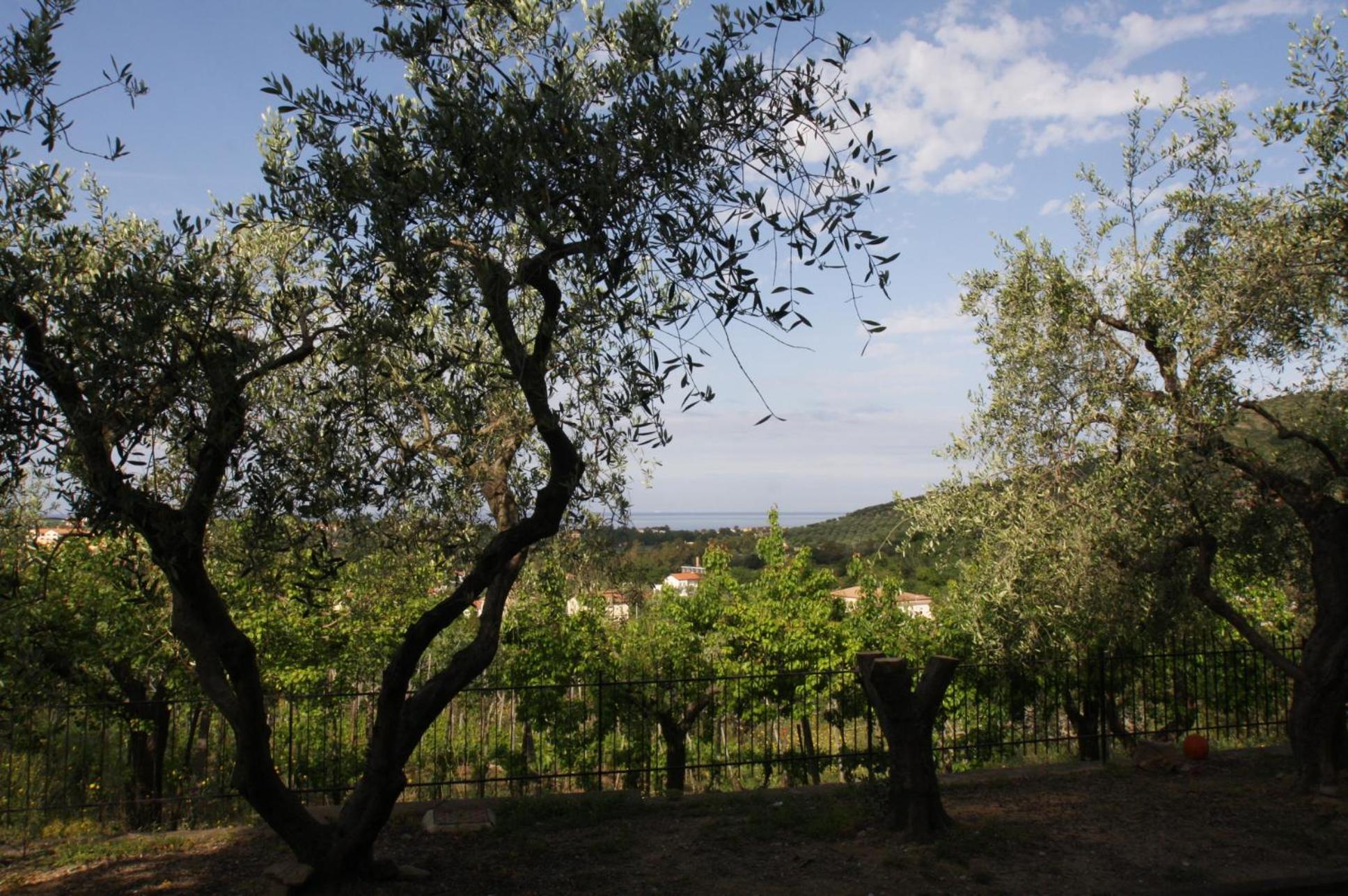 Villa Tresino Appartamenti
