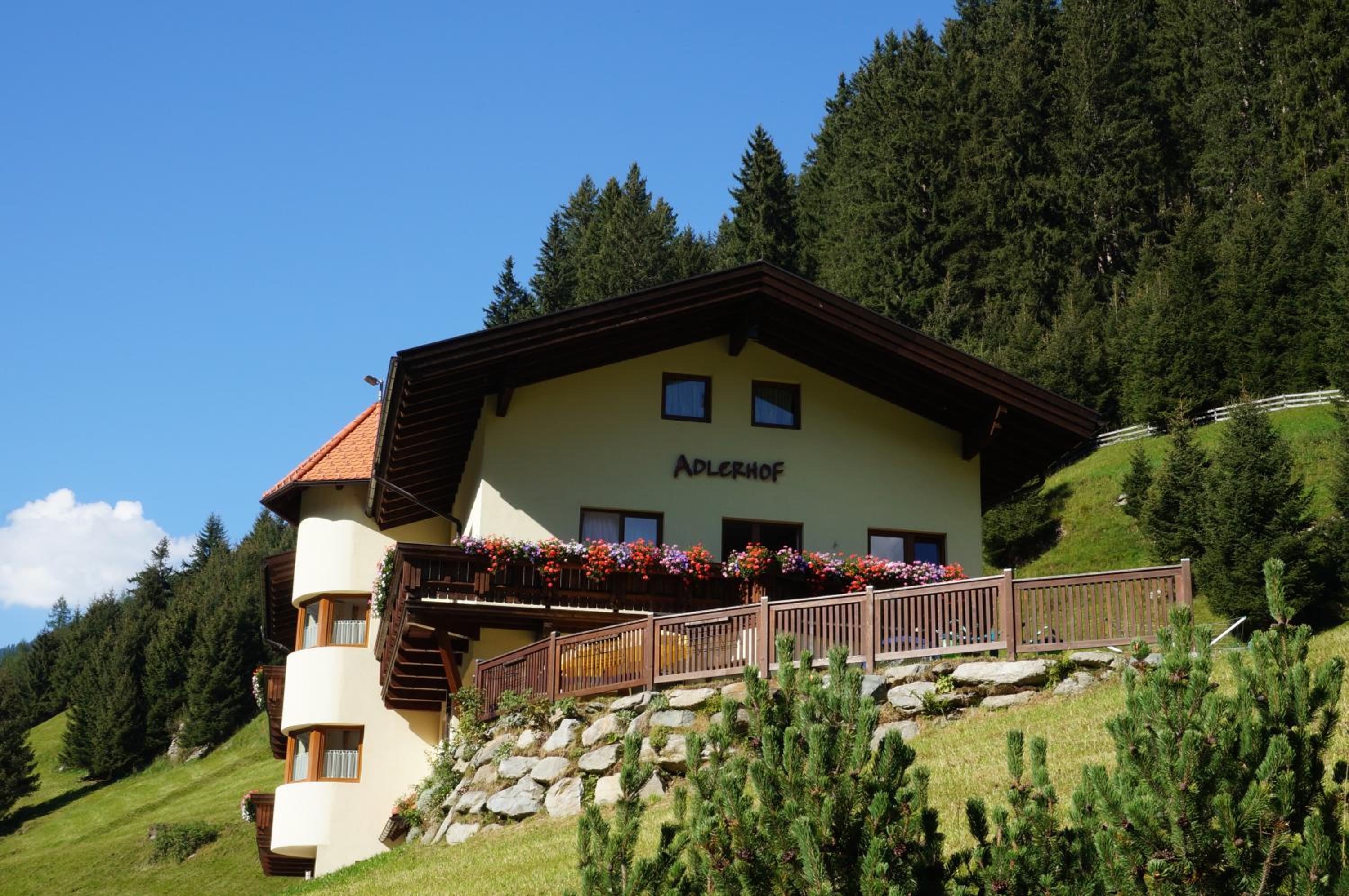 Photo 40