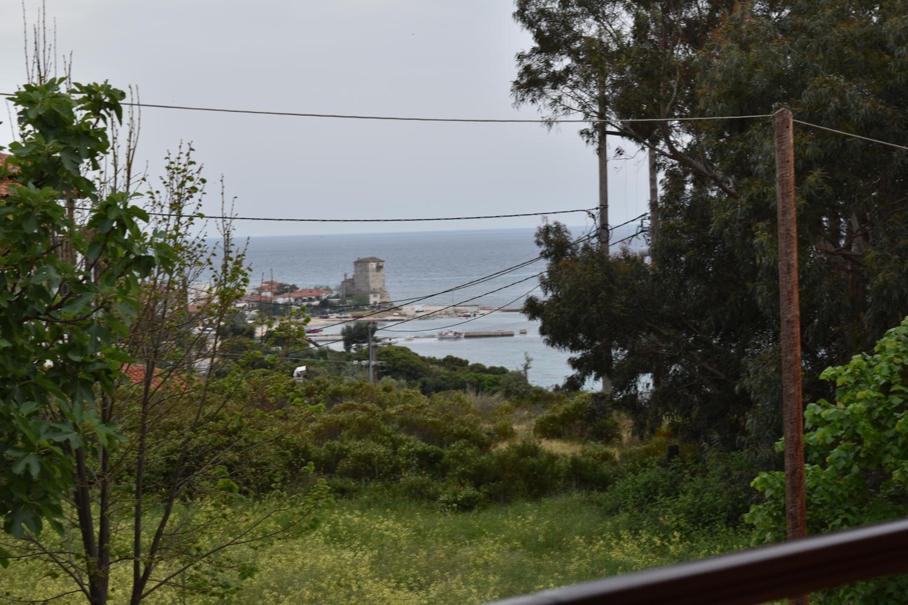 Photo 48