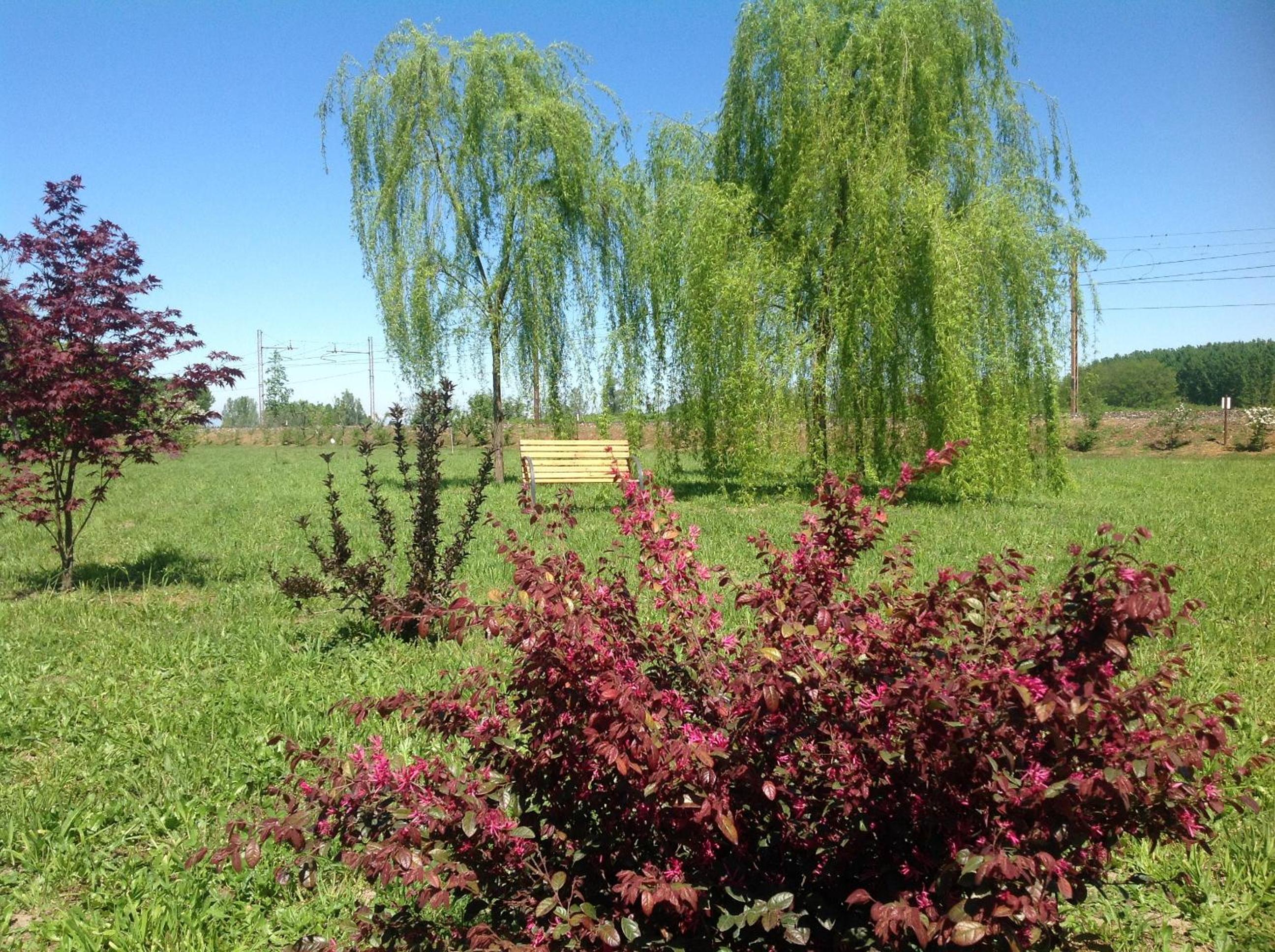 Photo 14