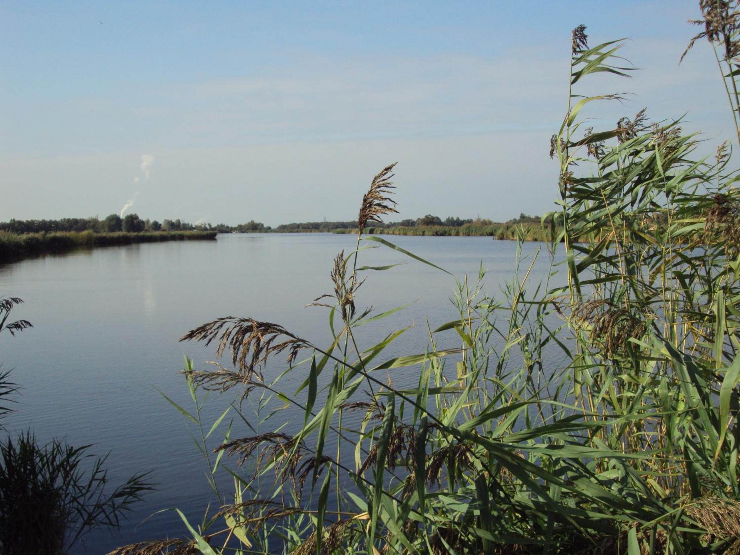 Hoeve Meerzicht