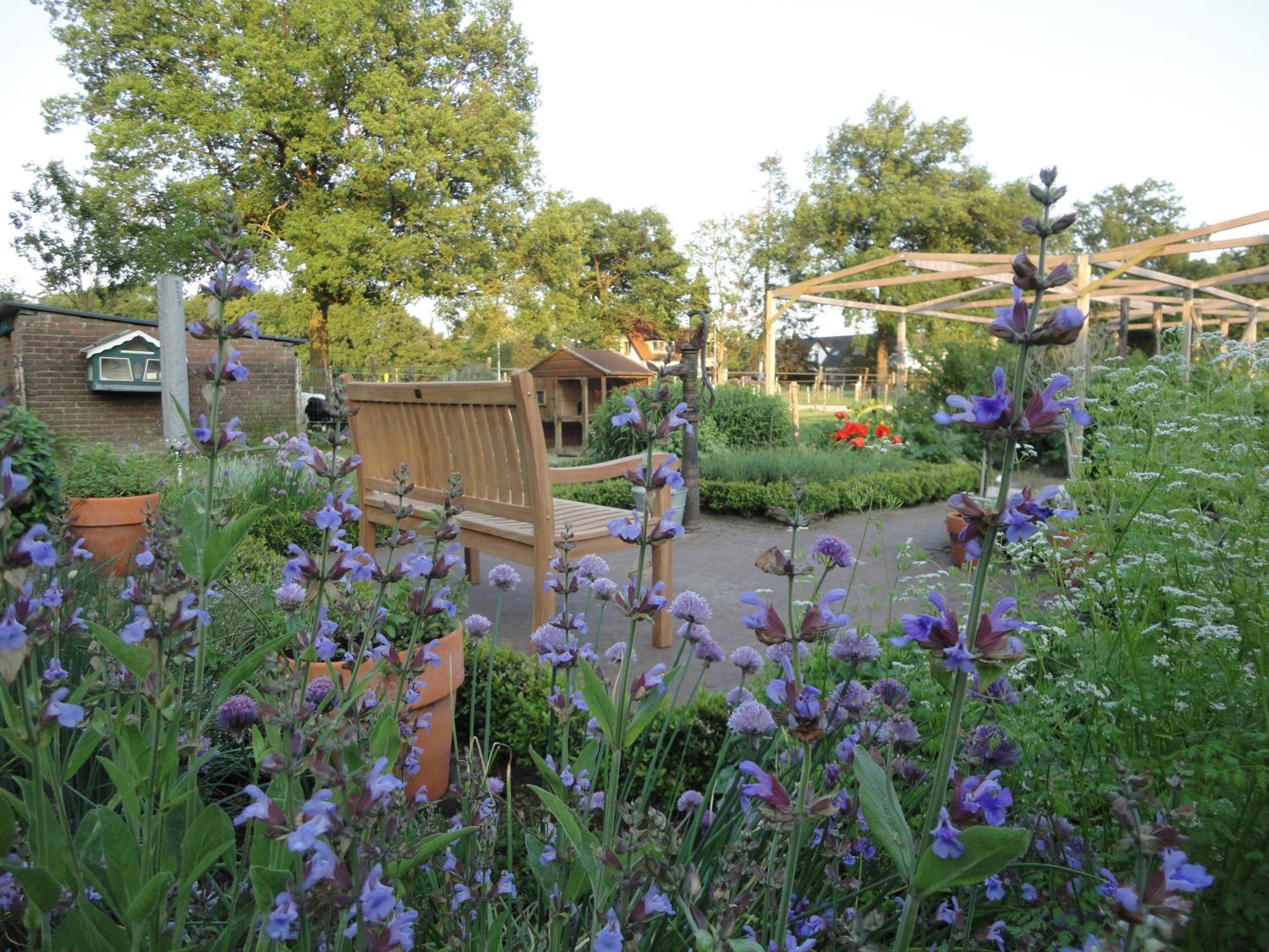 B&B De Willemshoeve, photo 65