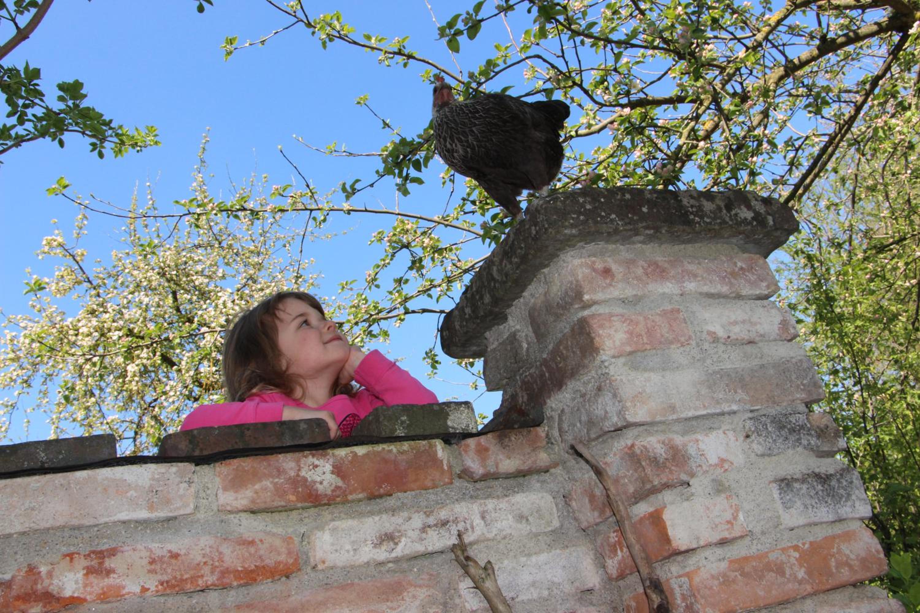 Photo 41
