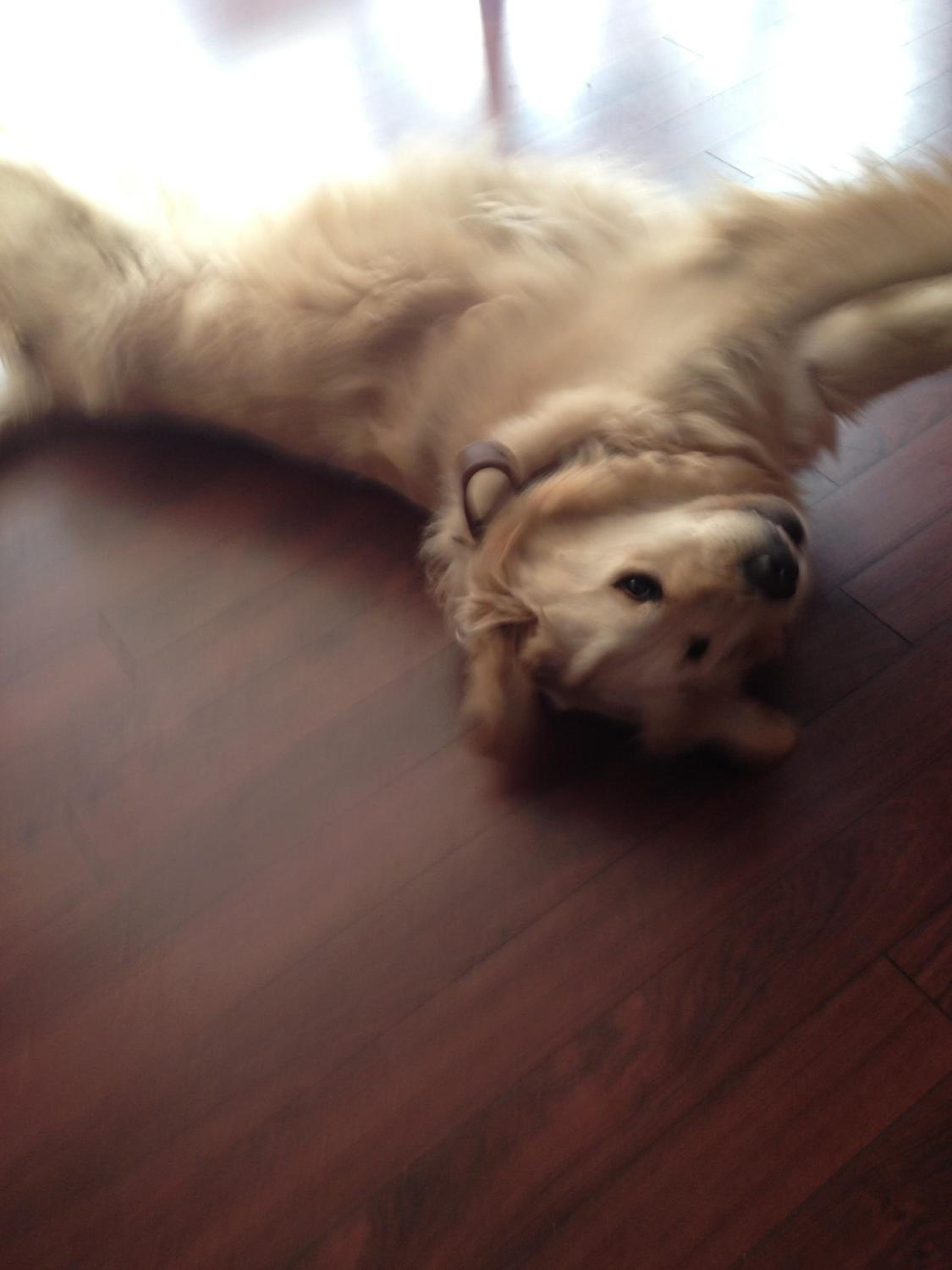 LOGIS Hotel Bel Horizon - Property Image 29