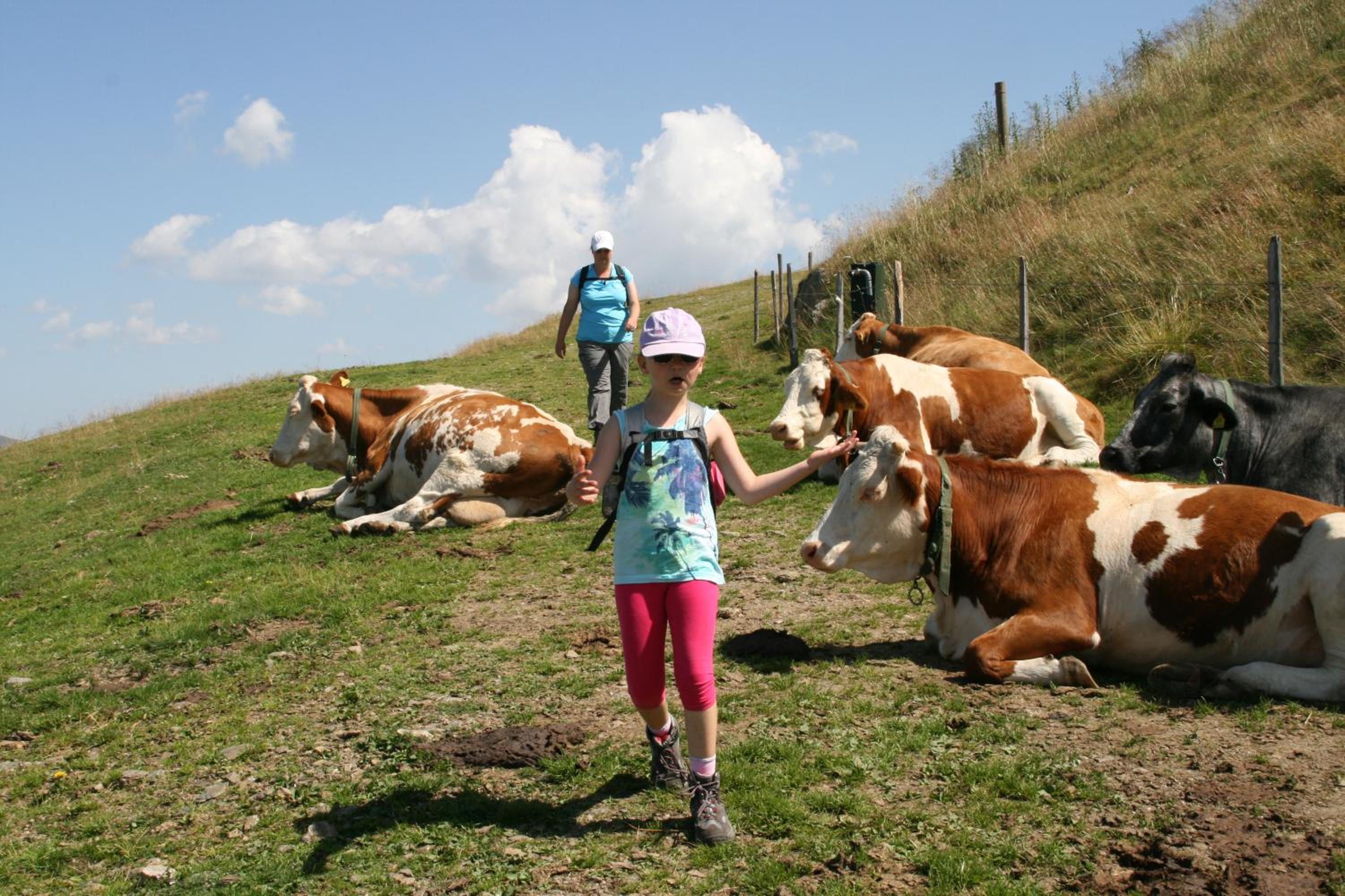 Moosbauerhof