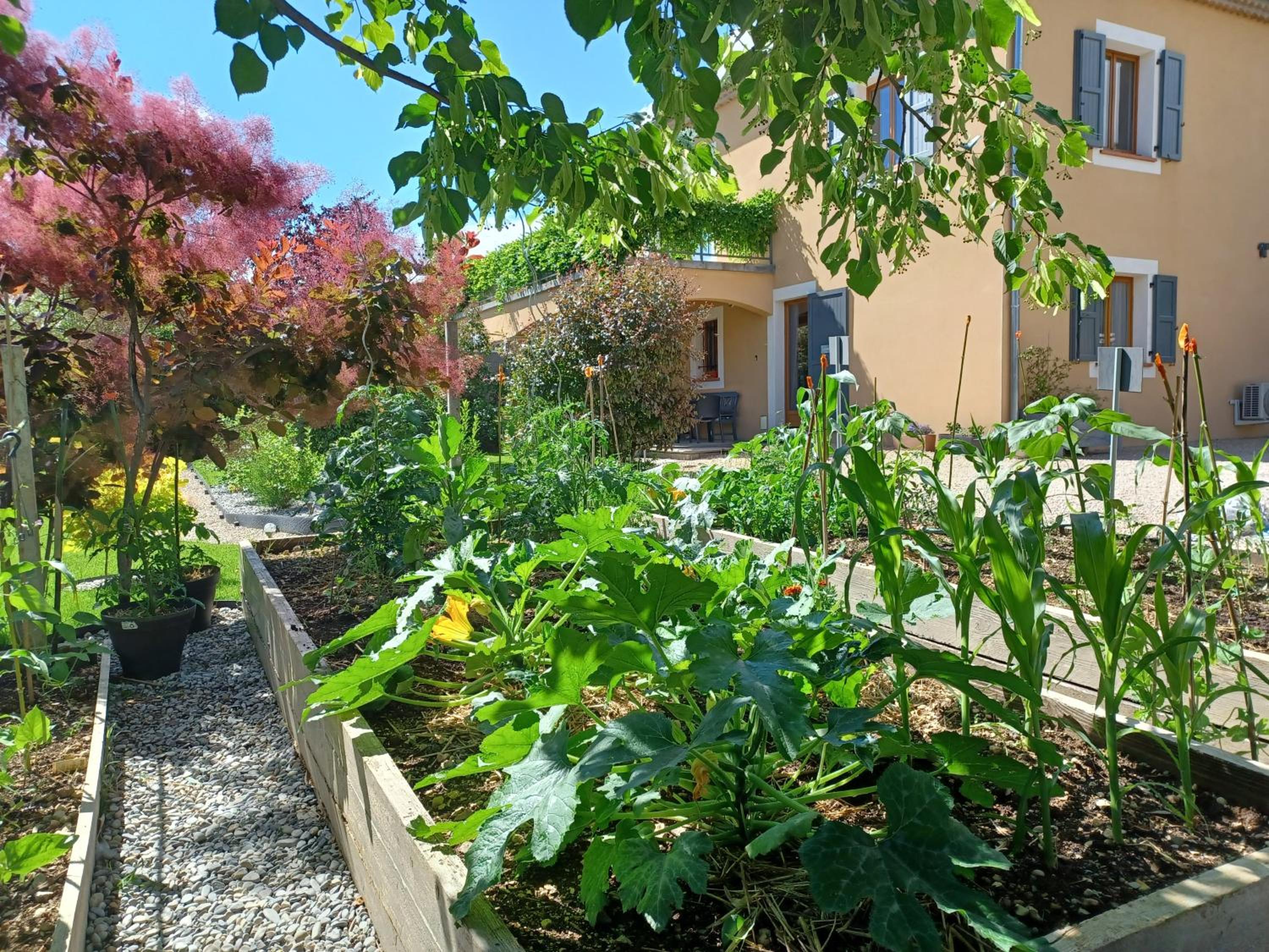 Photo 16