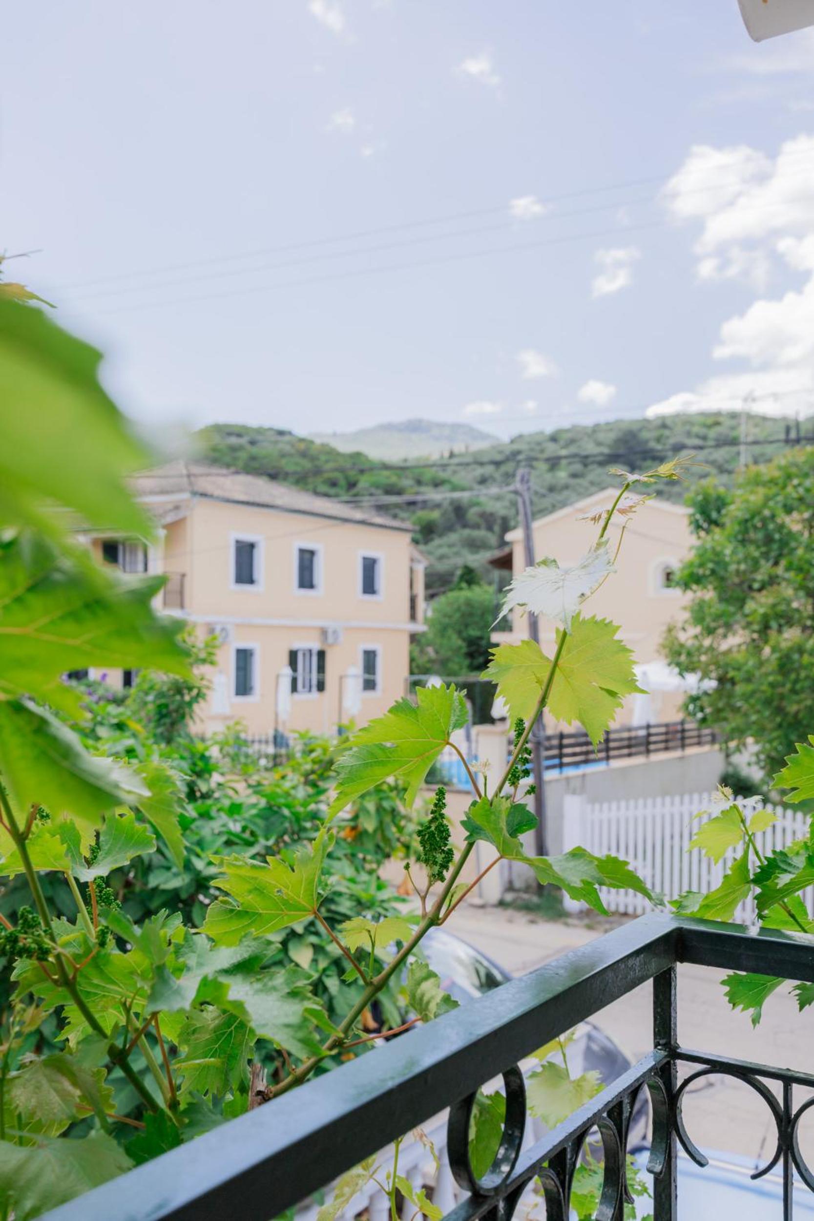 Vine House Apartments