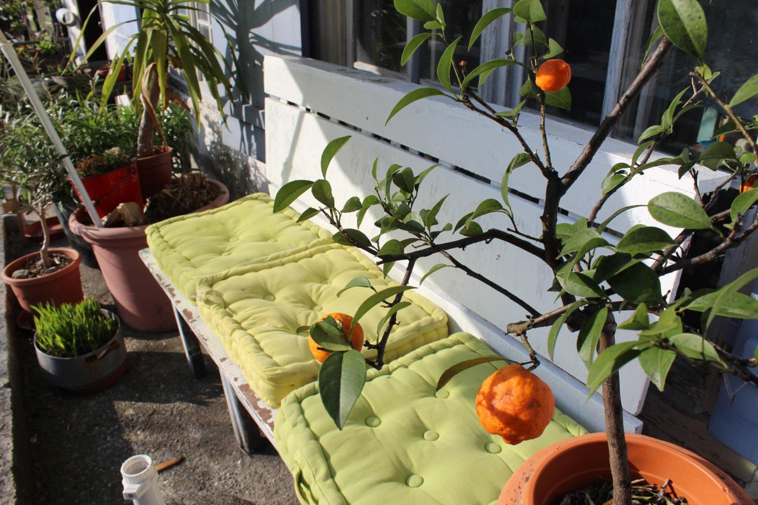 Ferienwohnung Nina
