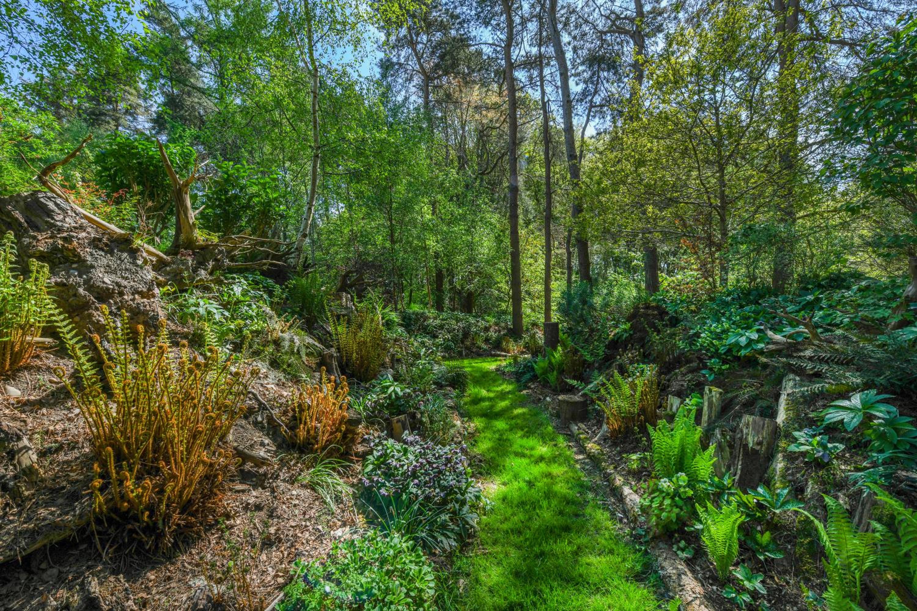 Eco 2-Bed Bungalow with Biodiverse Garden & Solar