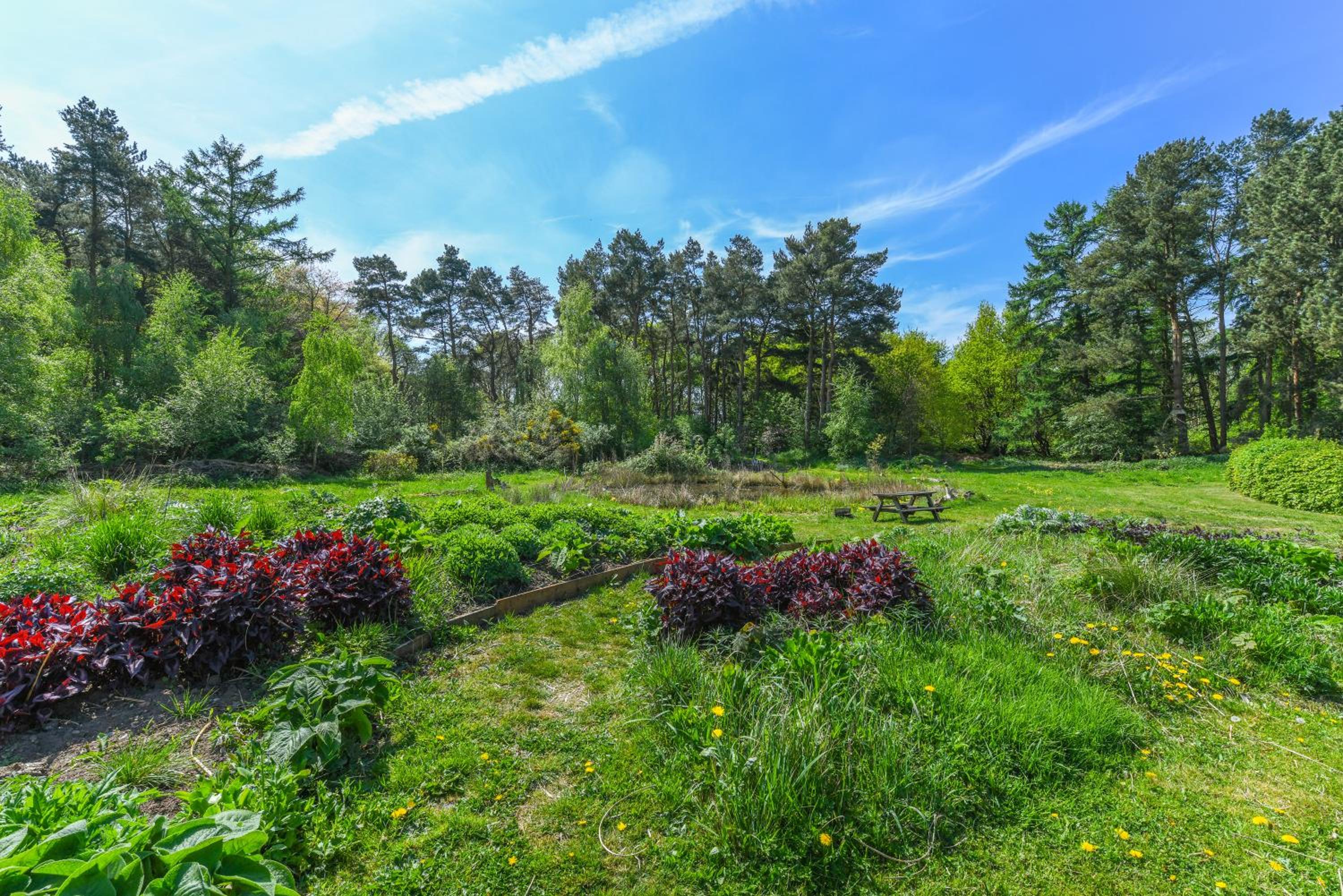 Eco 2-Bed Bungalow with Biodiverse Garden & Solar