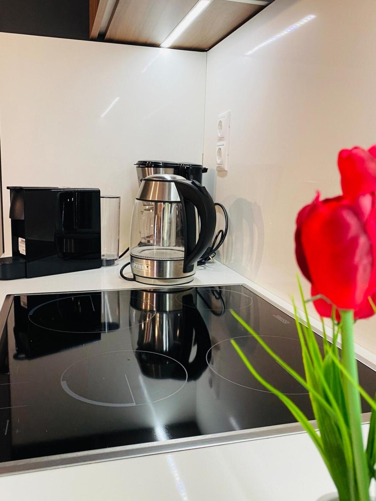 Downtown modern luxurious apartment