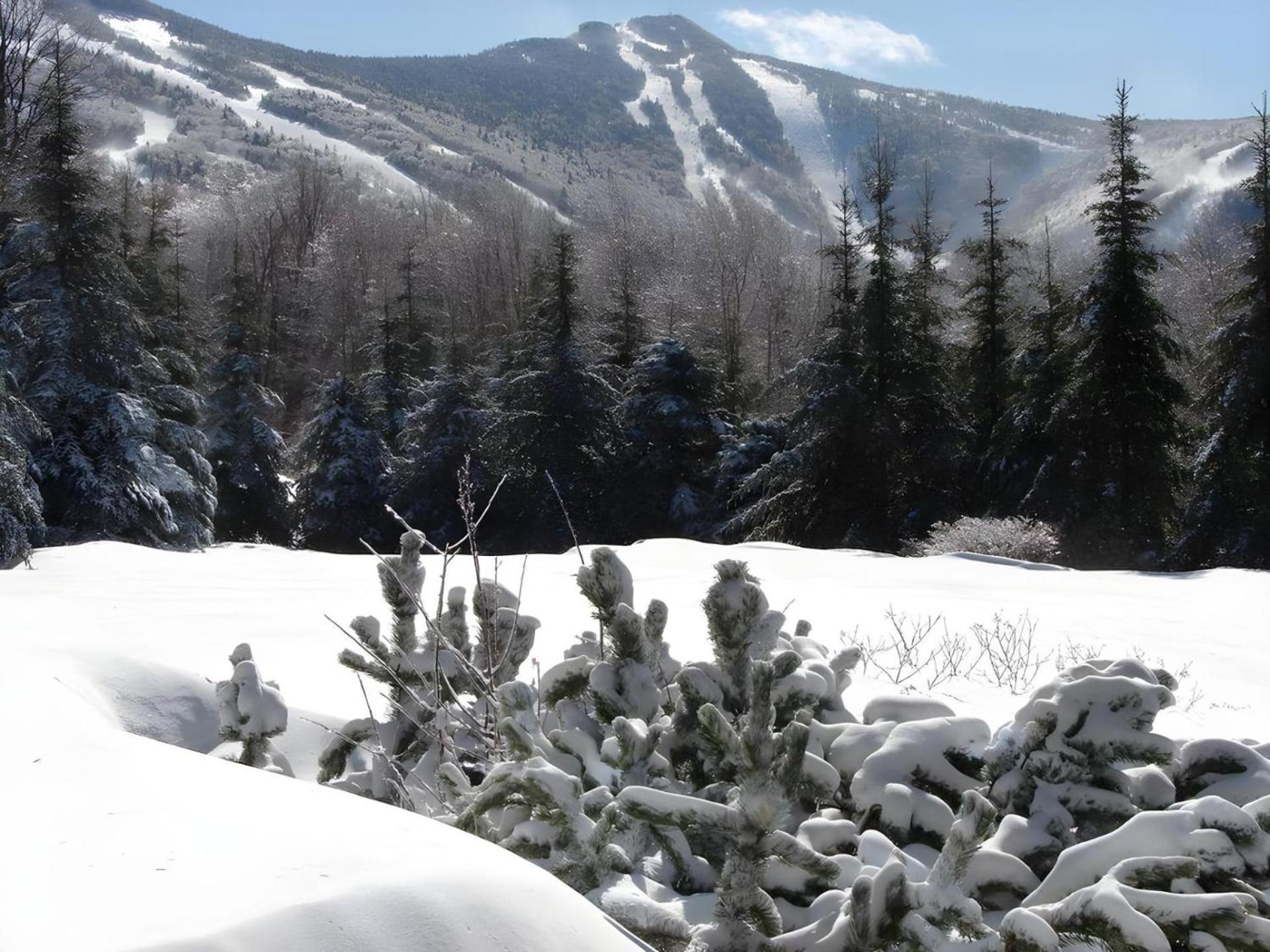 The Mountainside House - Luxury Home, Indoor Hot Tub, Ski Home, Private Shuttle