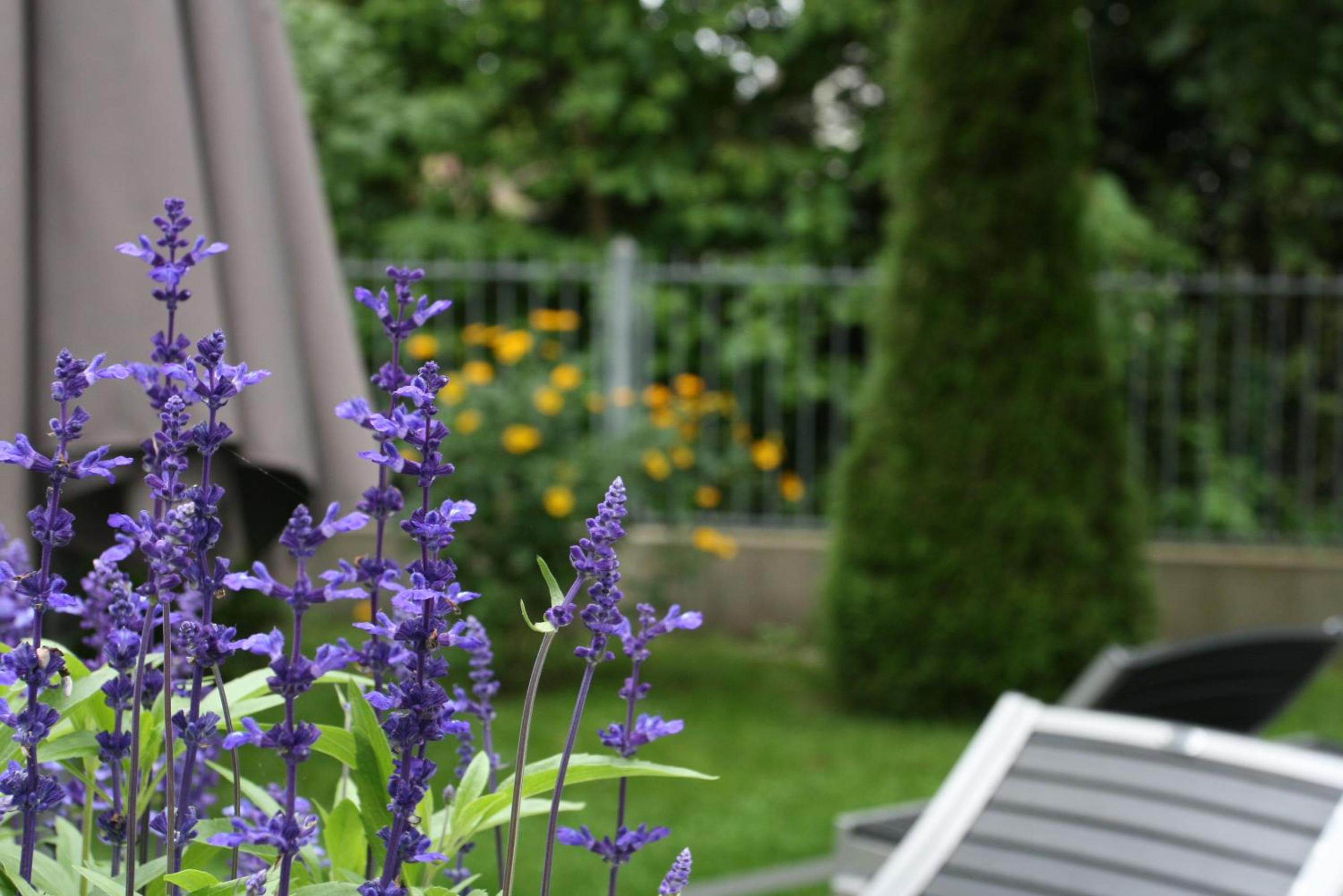 Munich Vacations - Hotel Villa Solln - Property Image 39