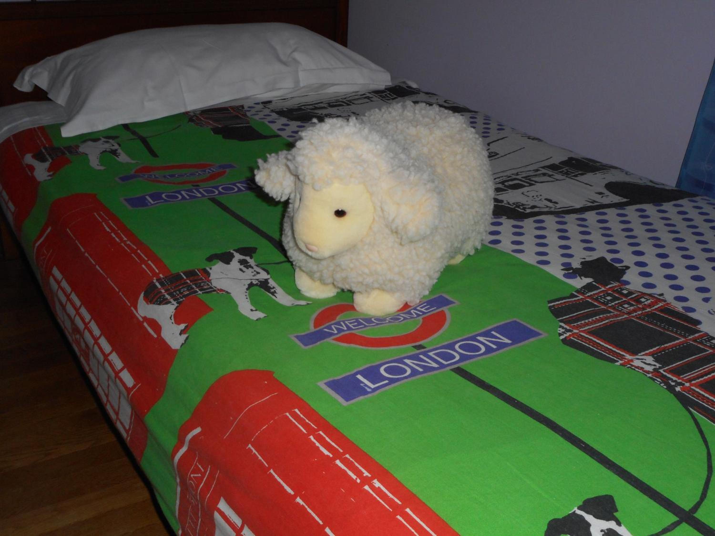 Photo 23