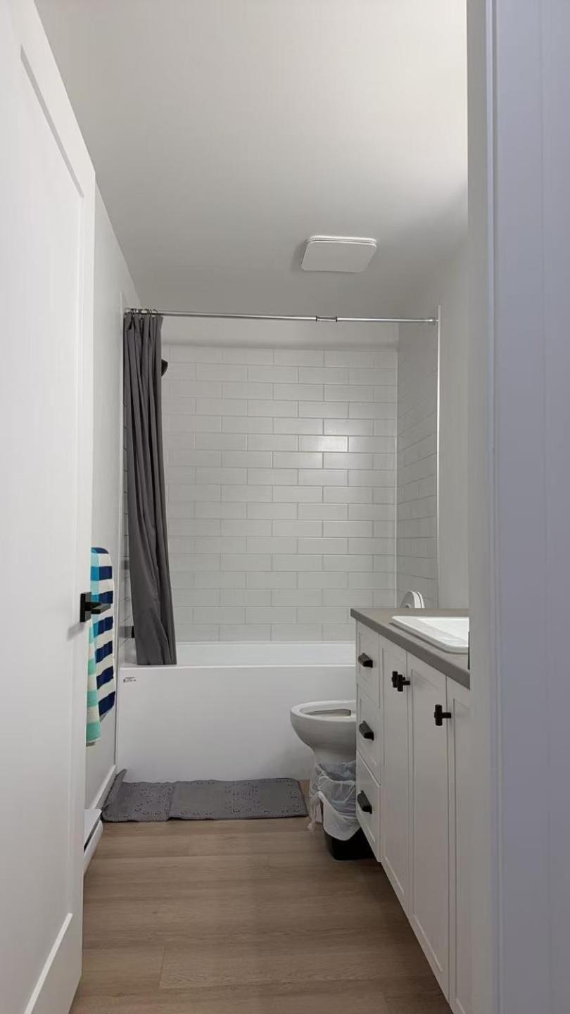 Basement suite -Langley Willoughby