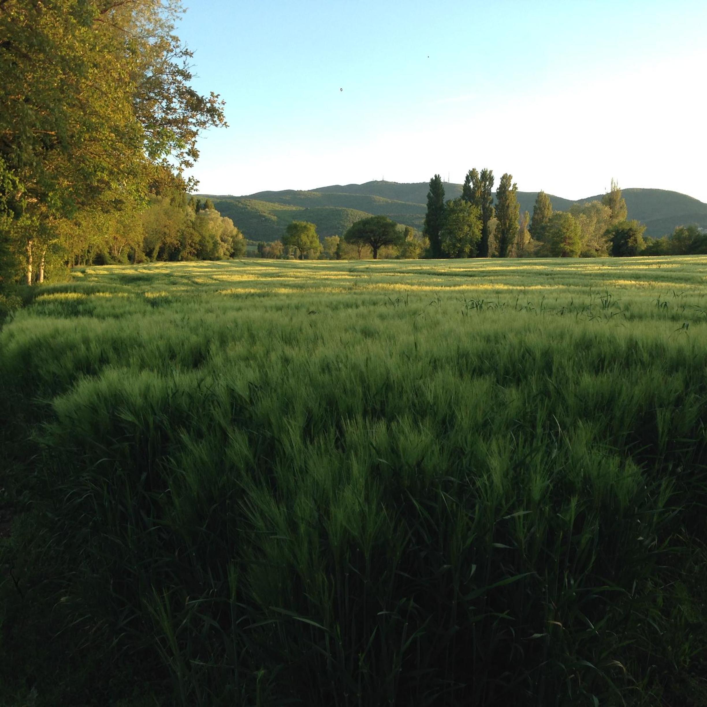 Agriturismo Il Mulino del Vescovo