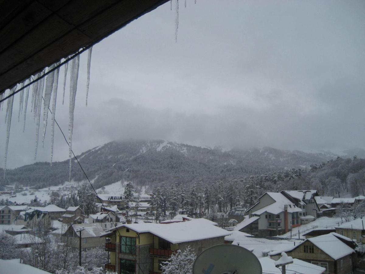Photo 41