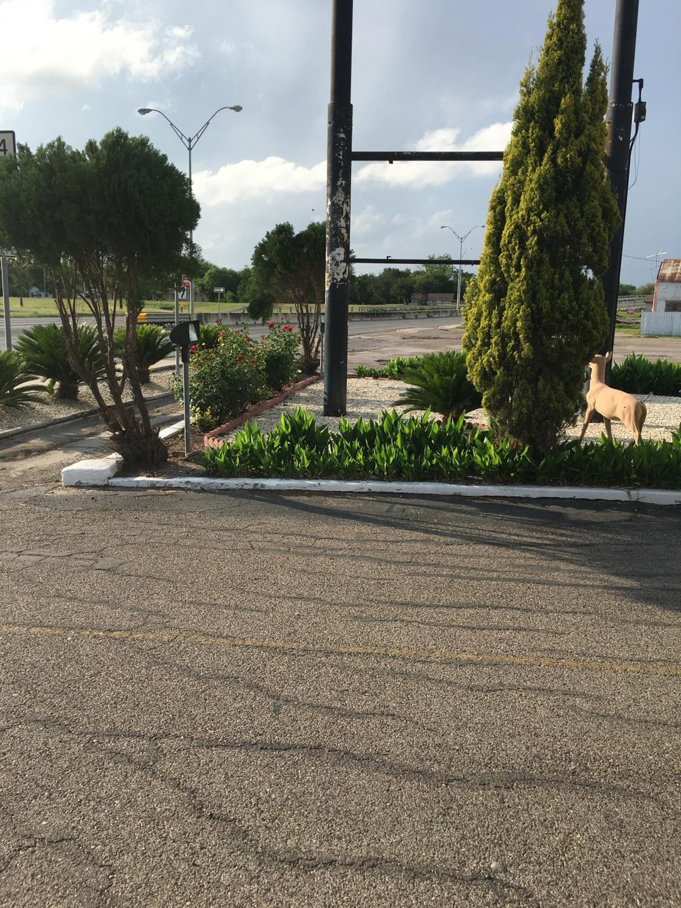 Alice Motor Inn view 2