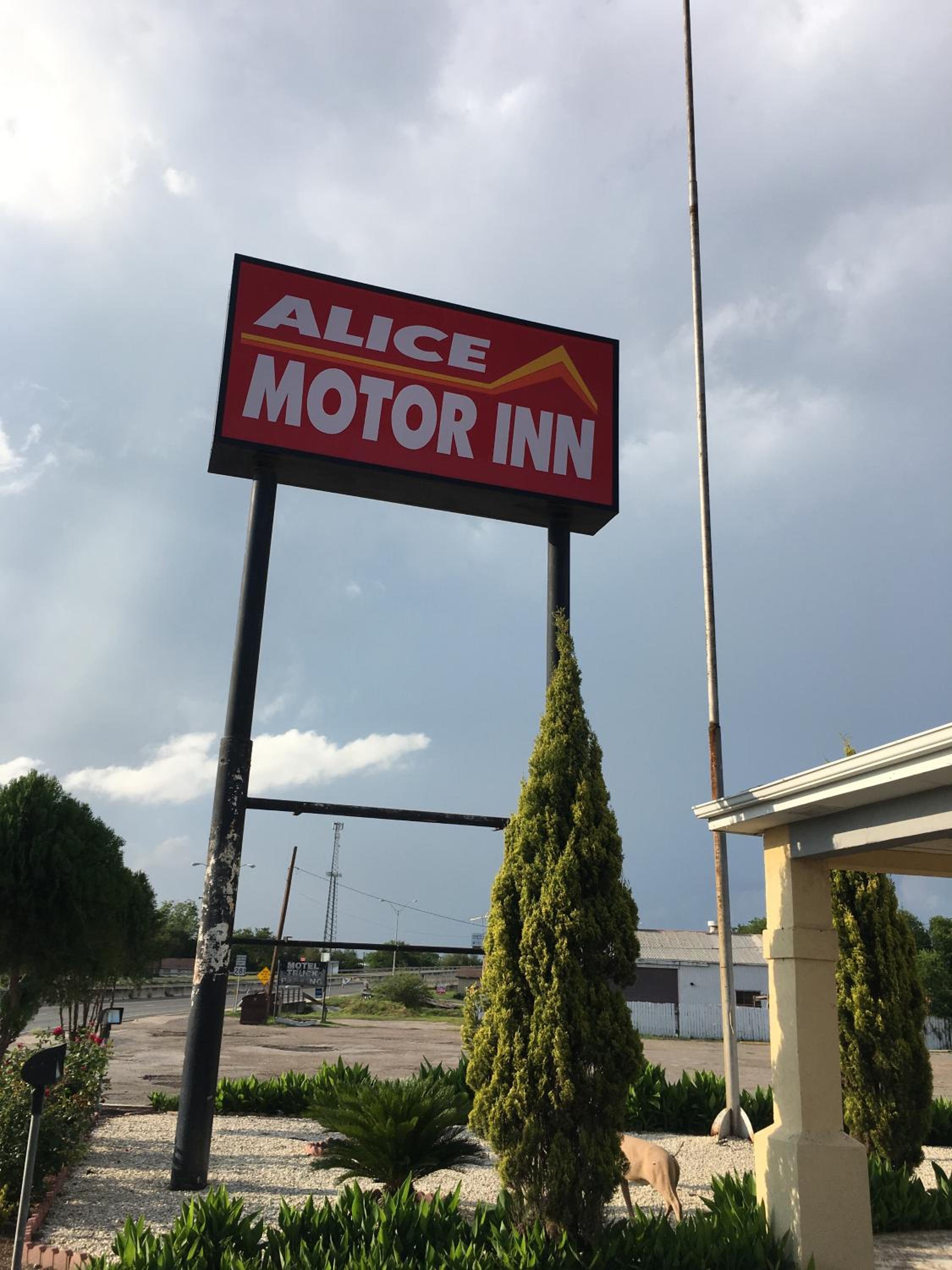 Alice Motor Inn view 5