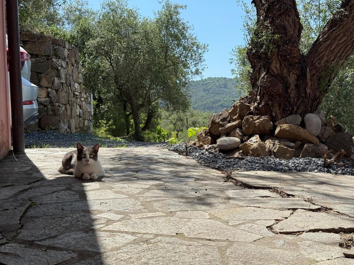 HOST4U - VILLA CUCCARELLO with Stunning View on The Valley
