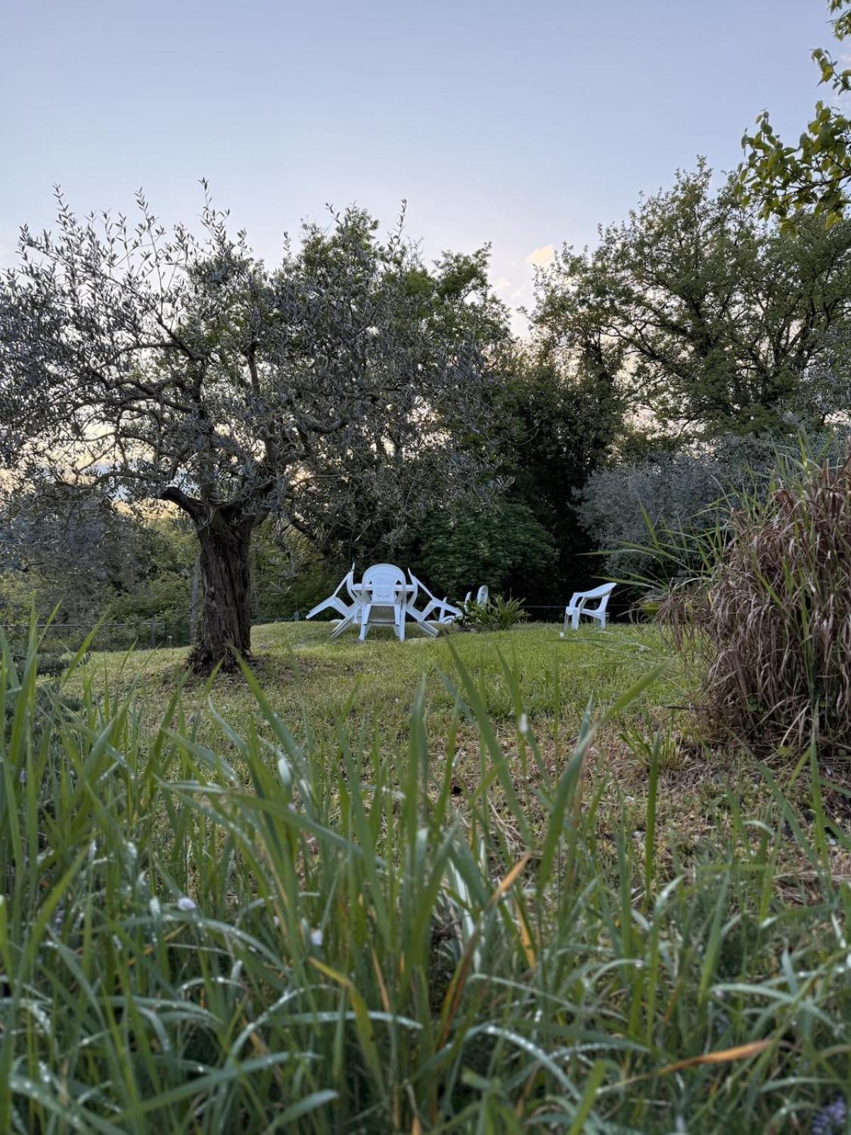 HOST4U - PAOLETTE Oasi Verde di Piacere a pochi minuti dal Lago di Garda