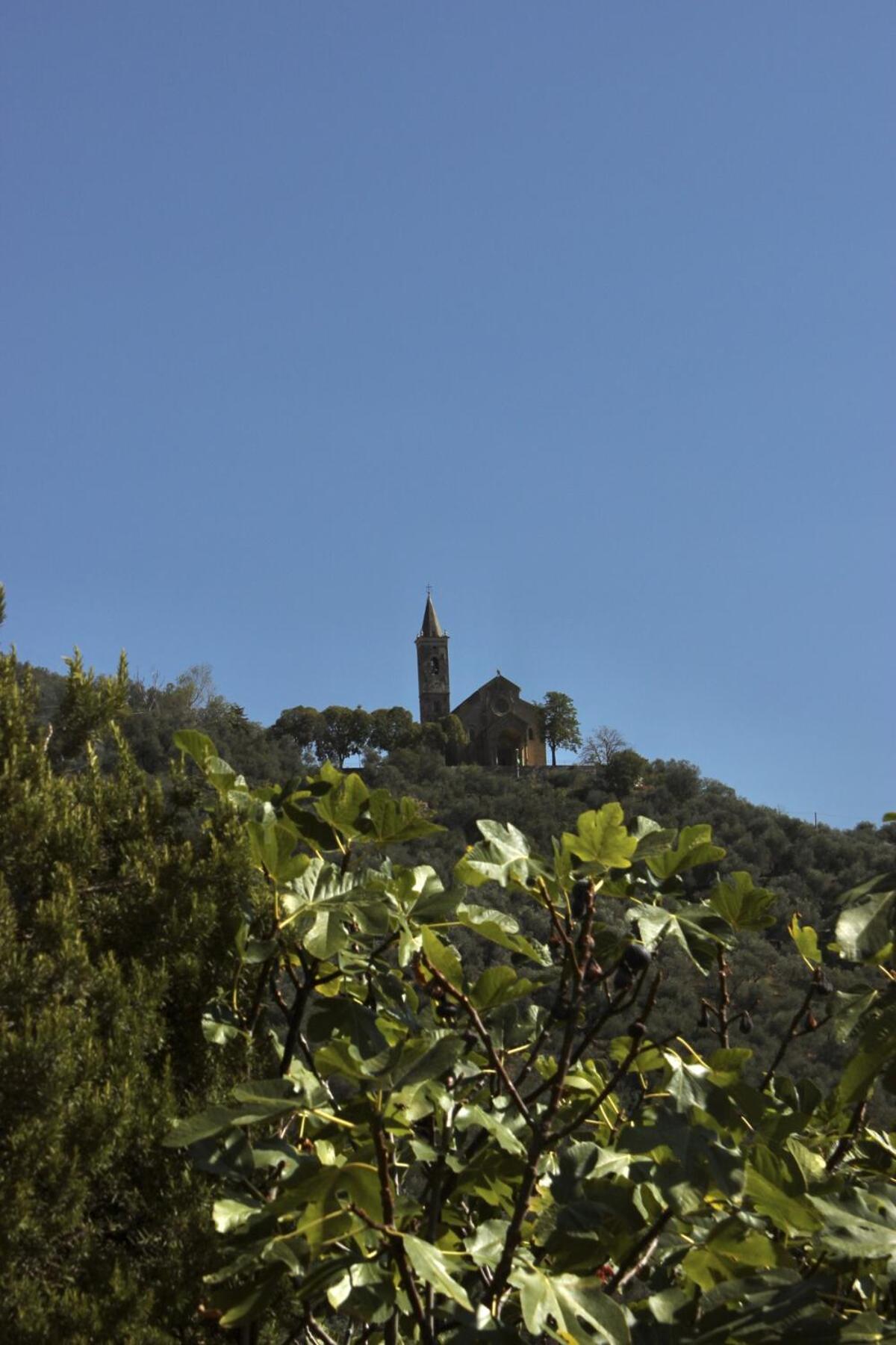 HOST4U - Cozy Terraced House with Beautiful View on the Olives Valley