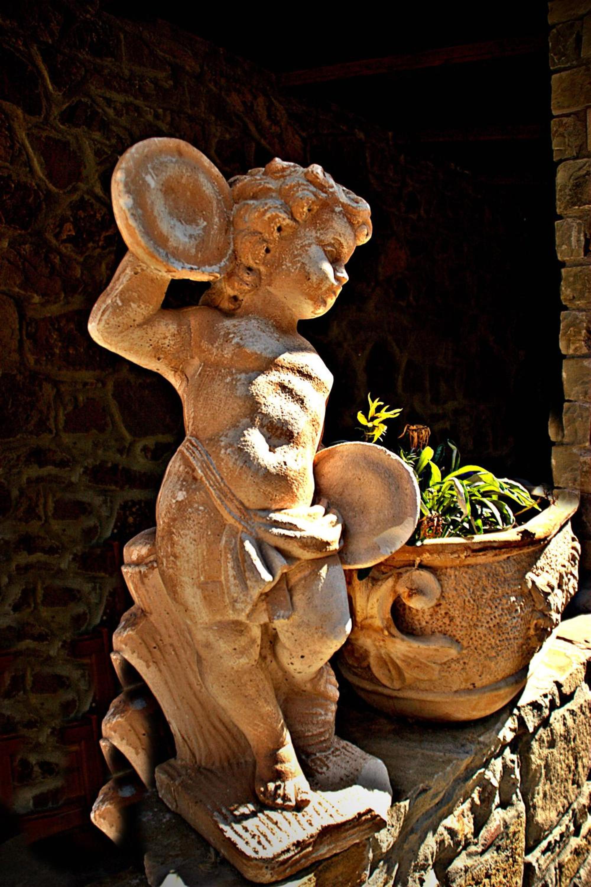 Photo 7