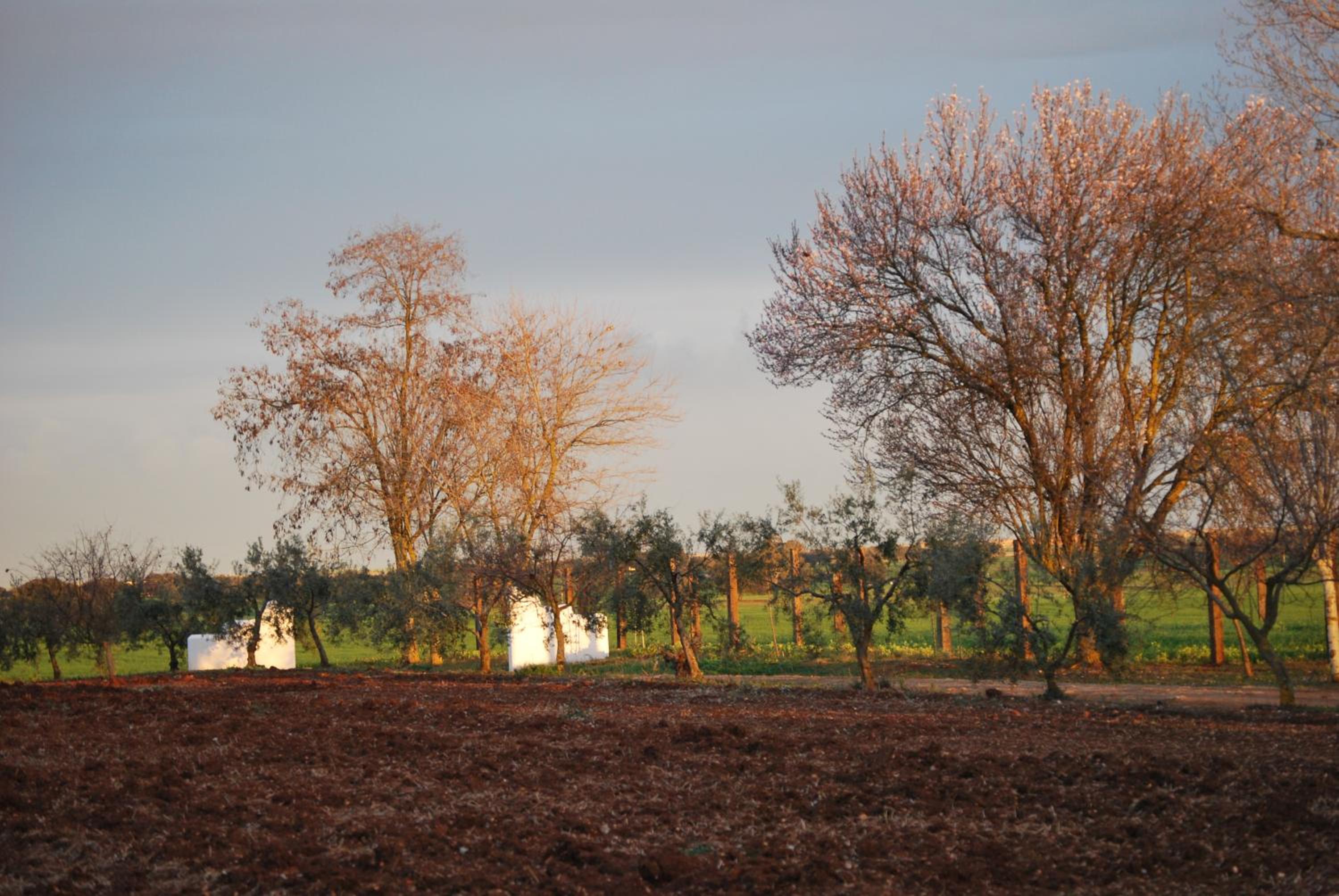 Cortijo de Vega Grande