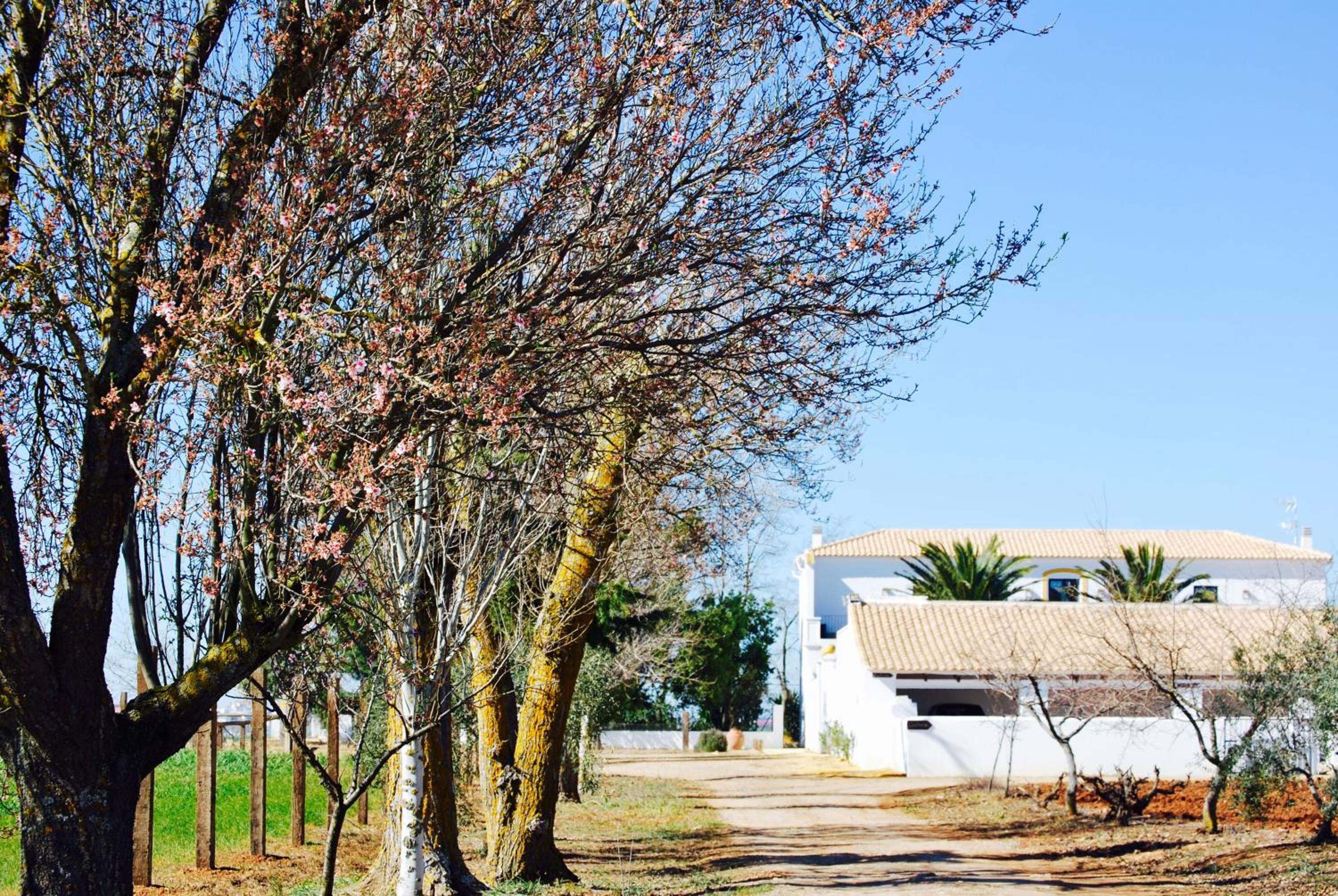 Cortijo de Vega Grande