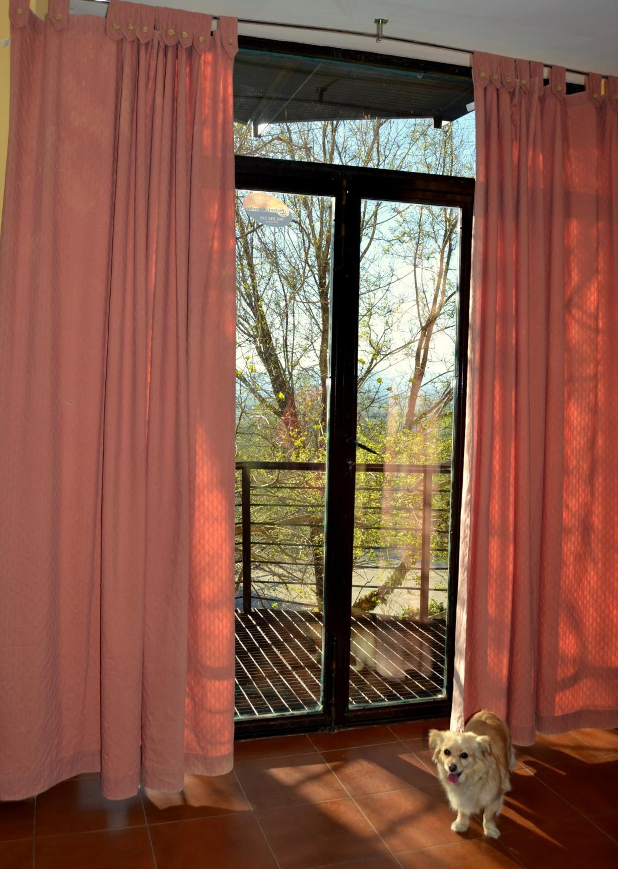 Photo 47