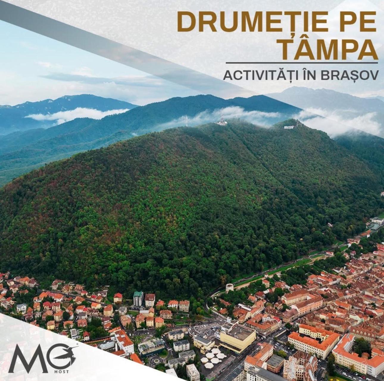 Spacious Holiday Apartment- Mountain View - Huge Balcony - Top Floor