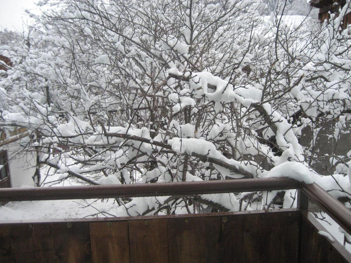 Photo 46
