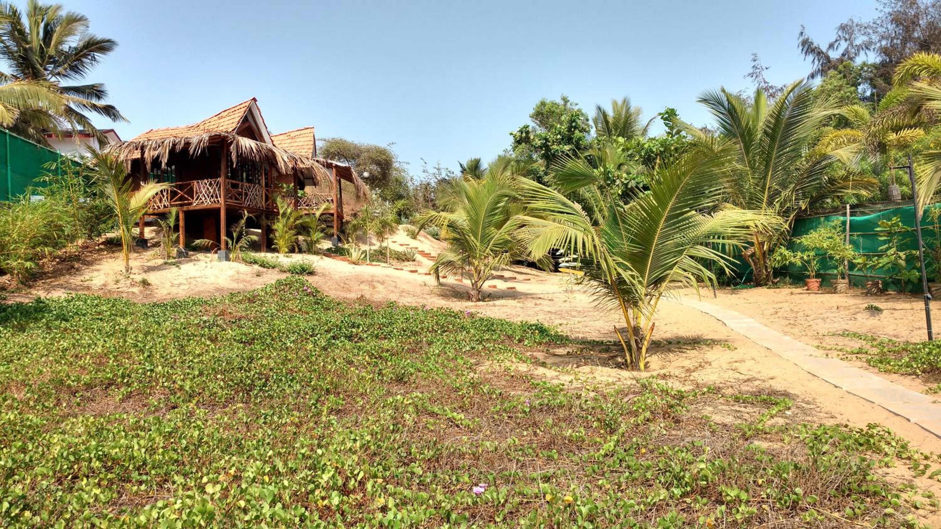 Little India Beach Cottages