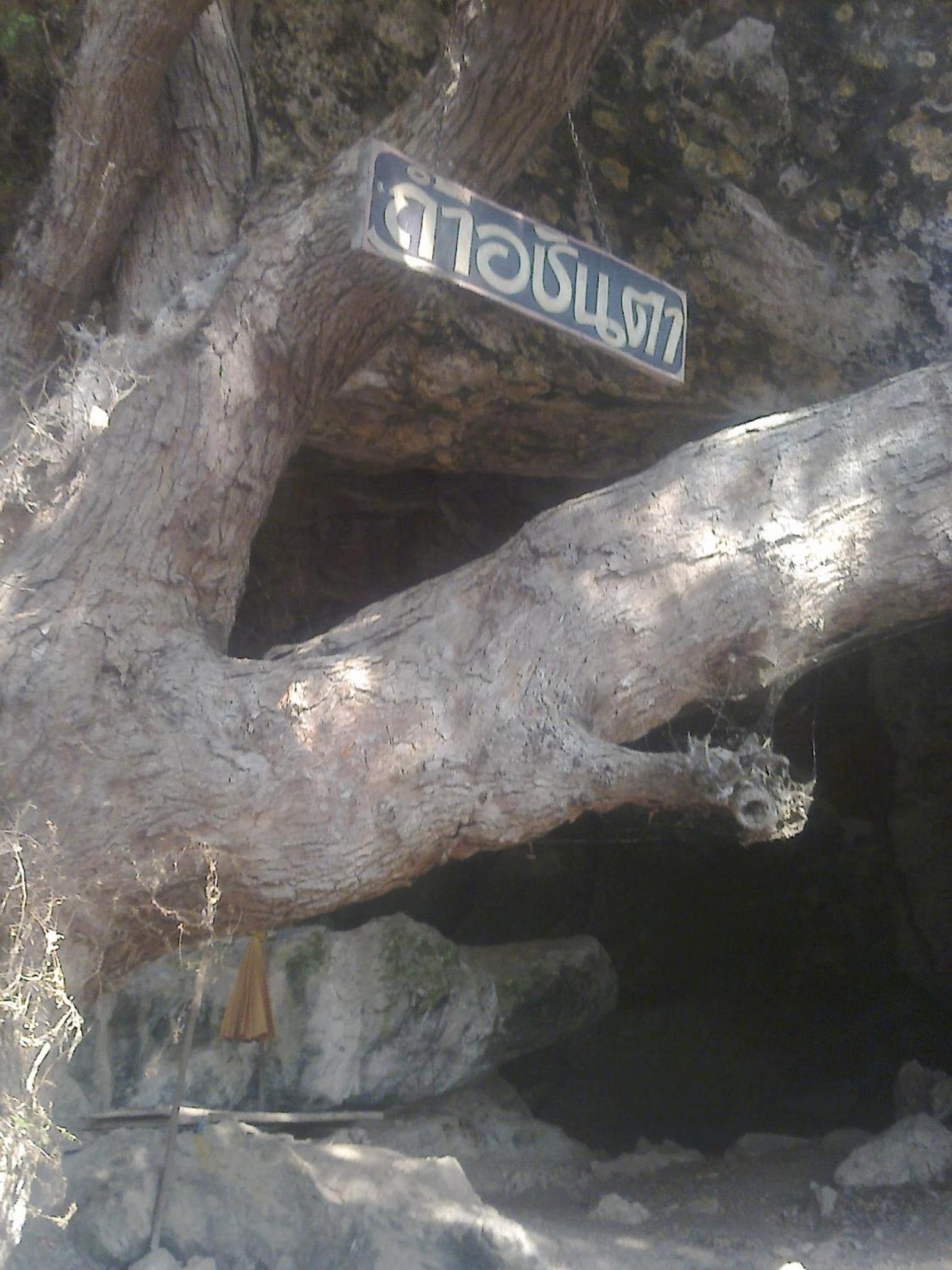 Lungcha Homestay