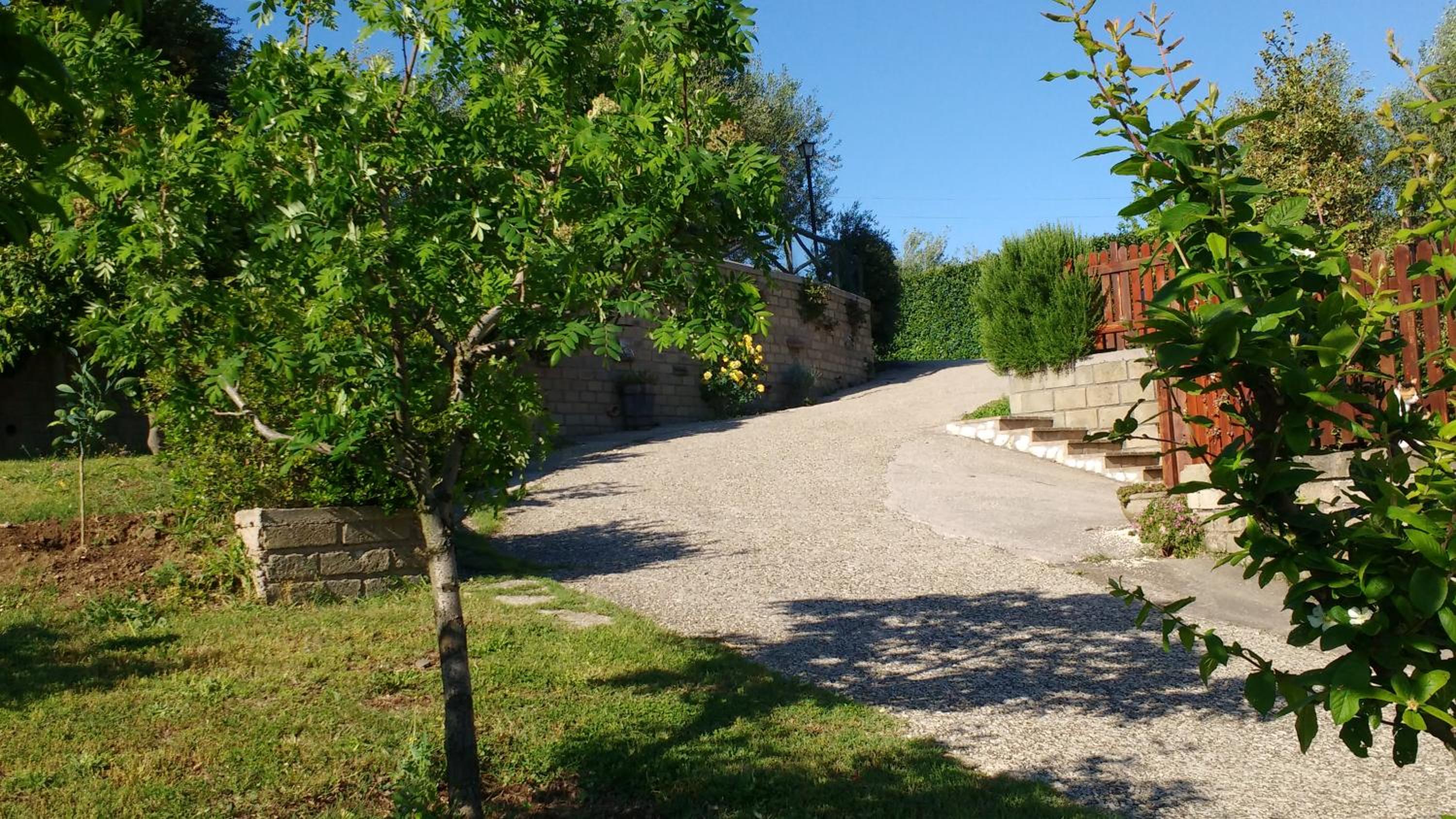Photo 7