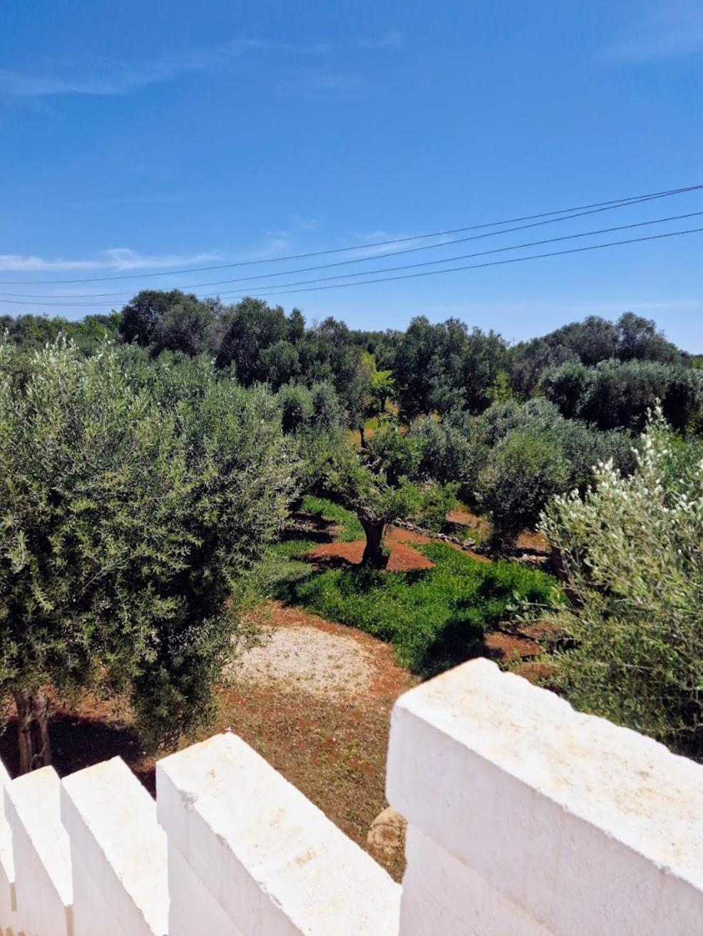 Panoramic Villa Bianca by ItriaLuxuryStays