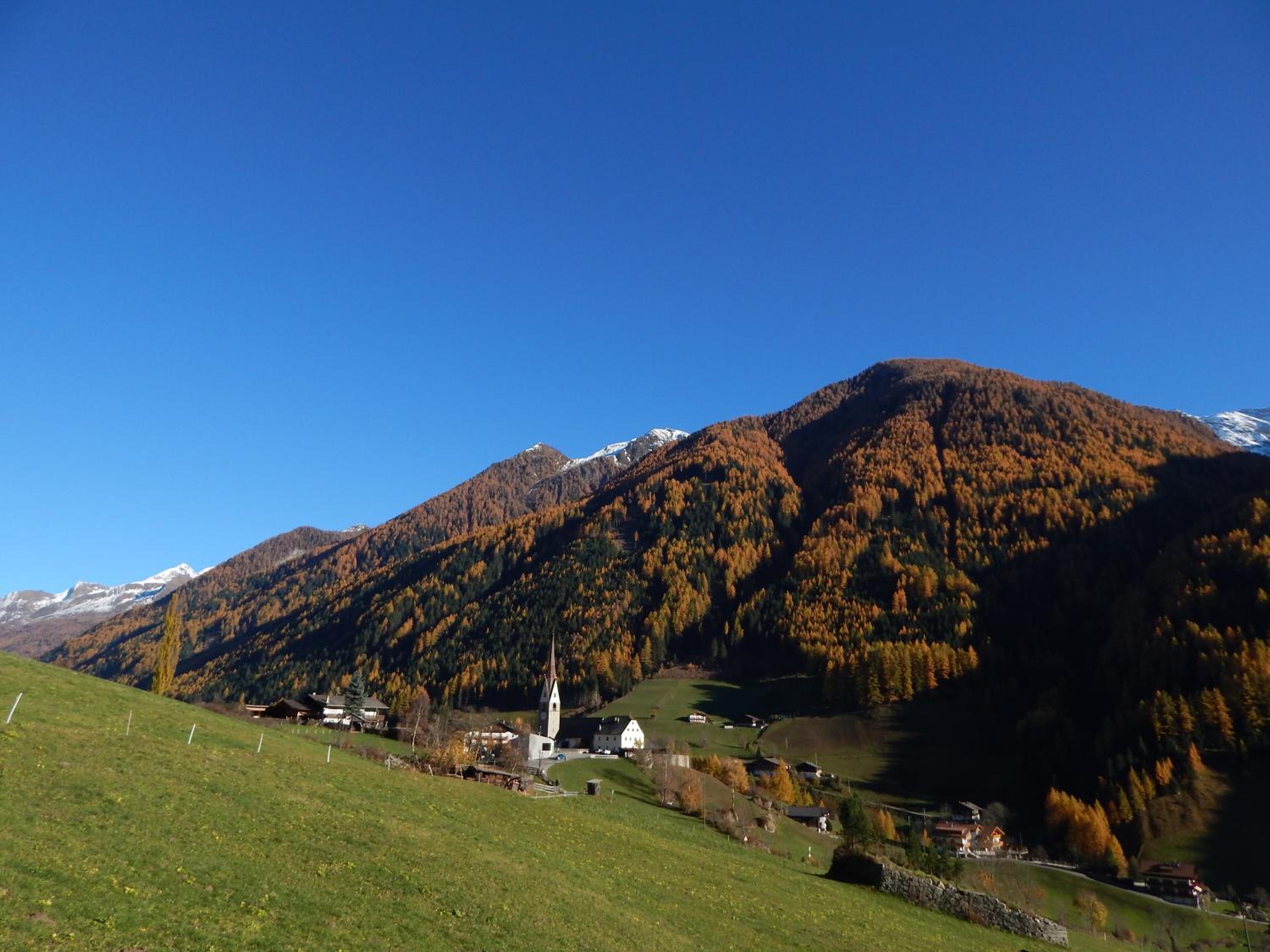 Pension Neuhaushof