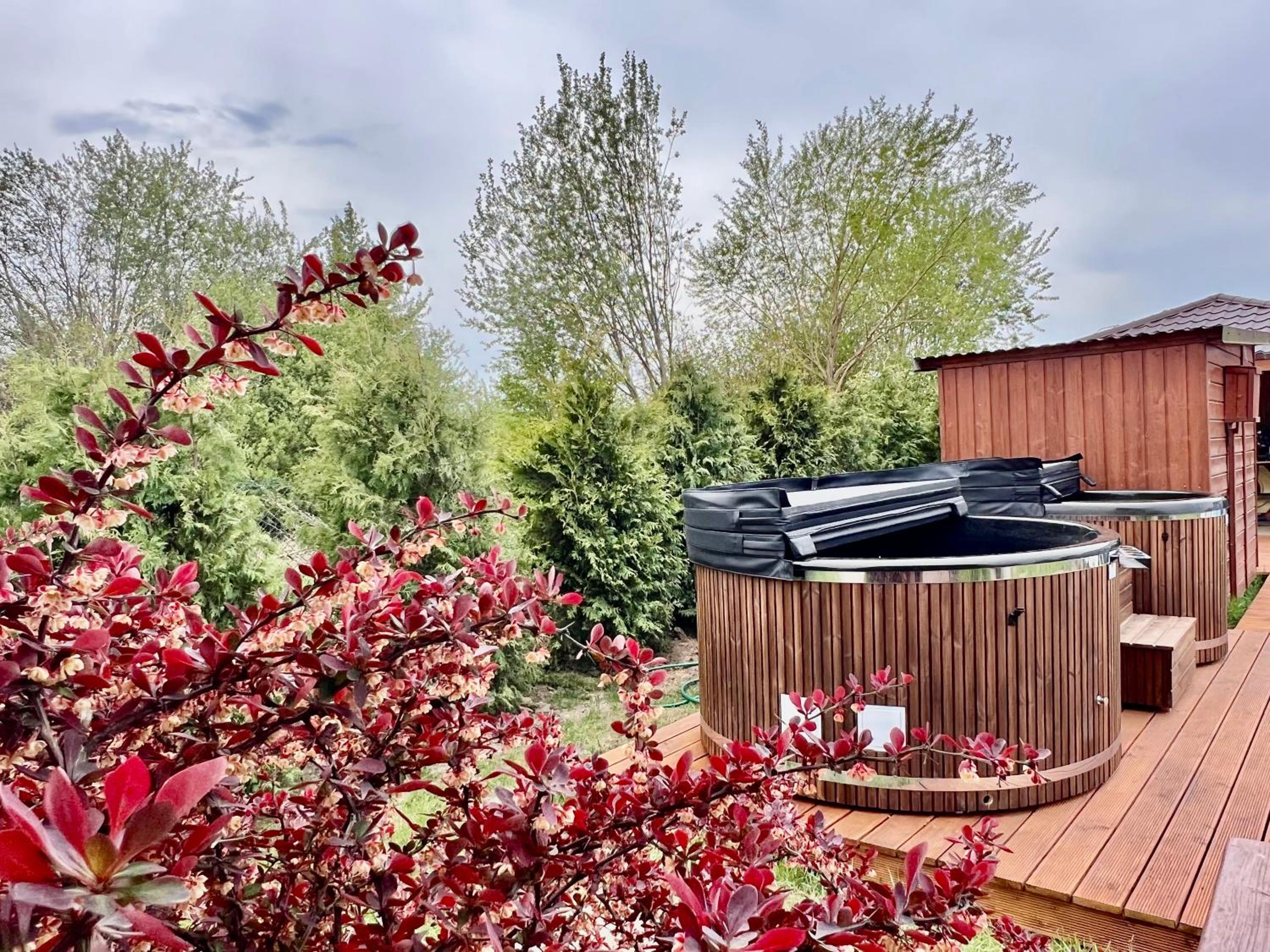Rajska Mierzeja , SAUNA , JAKUZZI ,BASEN Z PODGRZEWANĄ WODĄ , KLIMATYZACJA-OGRZEWANIE , PLAC ZABAW , ROWERY , TARAS